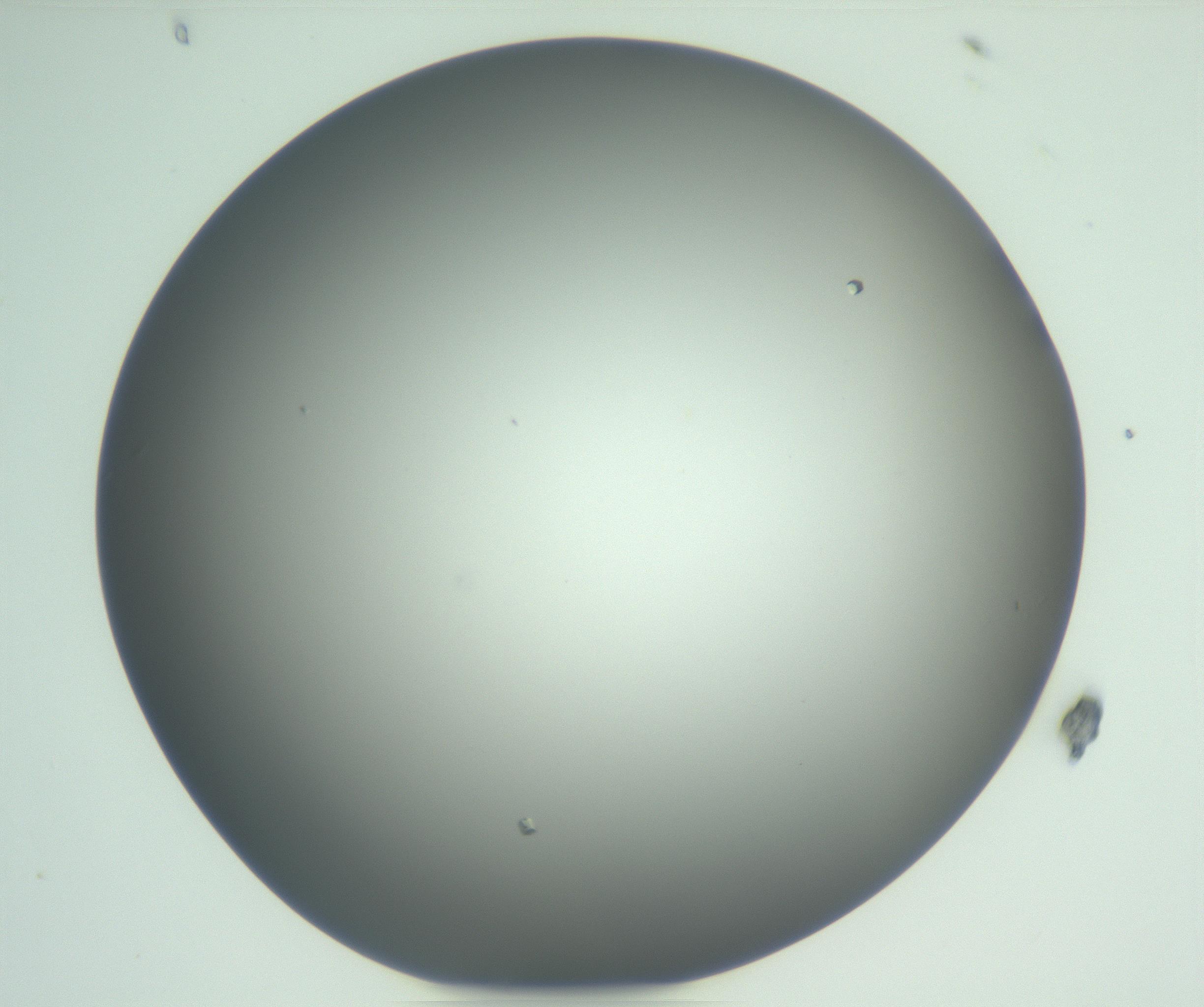 RI01_03_000_0212_Proj1_Clon1_MC_0000MC102923_003_161105_08_03_01_00_99_002_001_RAI.jpg
