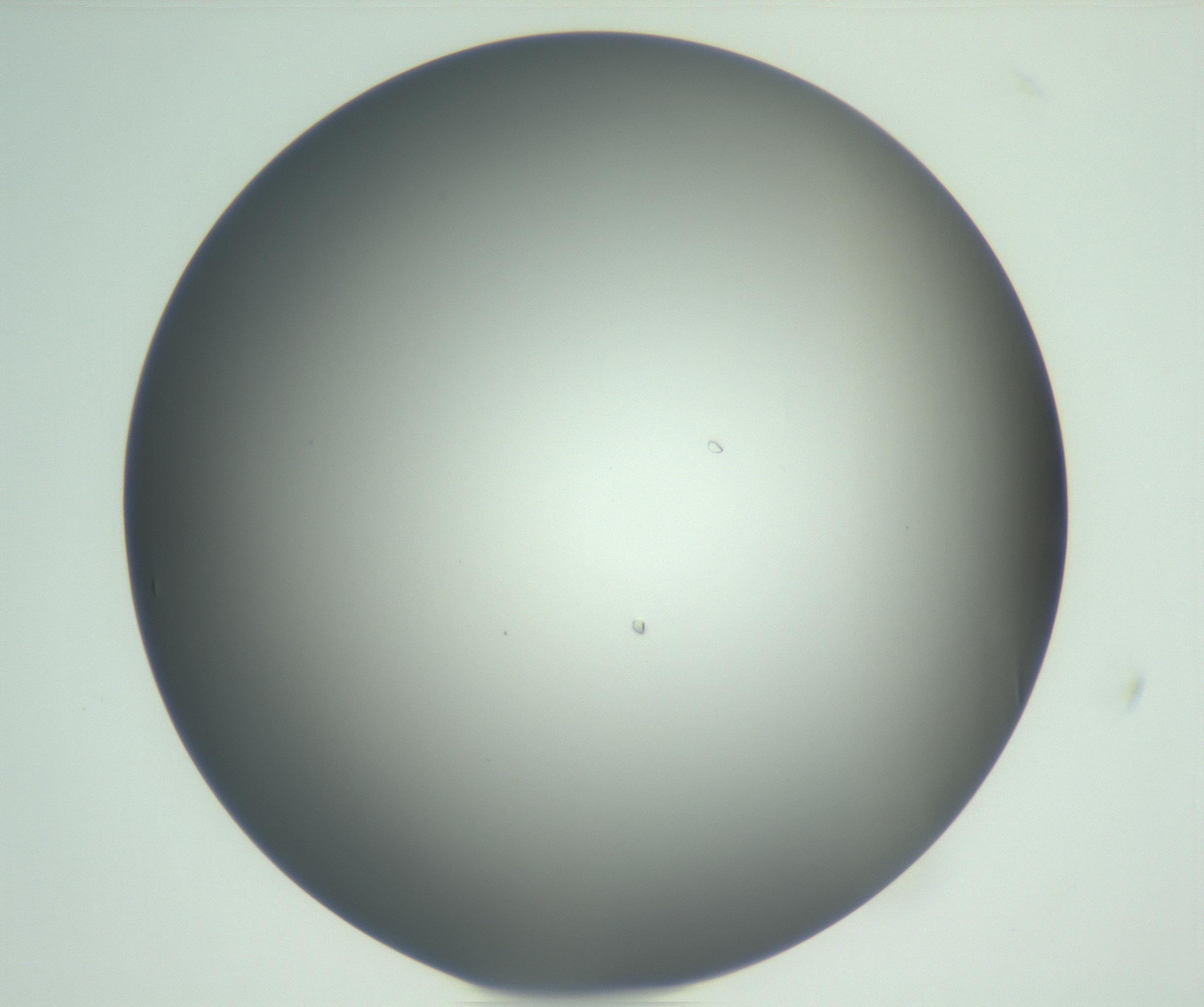 RI01_03_000_0212_Proj1_Clon1_MC_0000MC102923_003_161105_10_03_01_00_99_002_001_RAI.jpg
