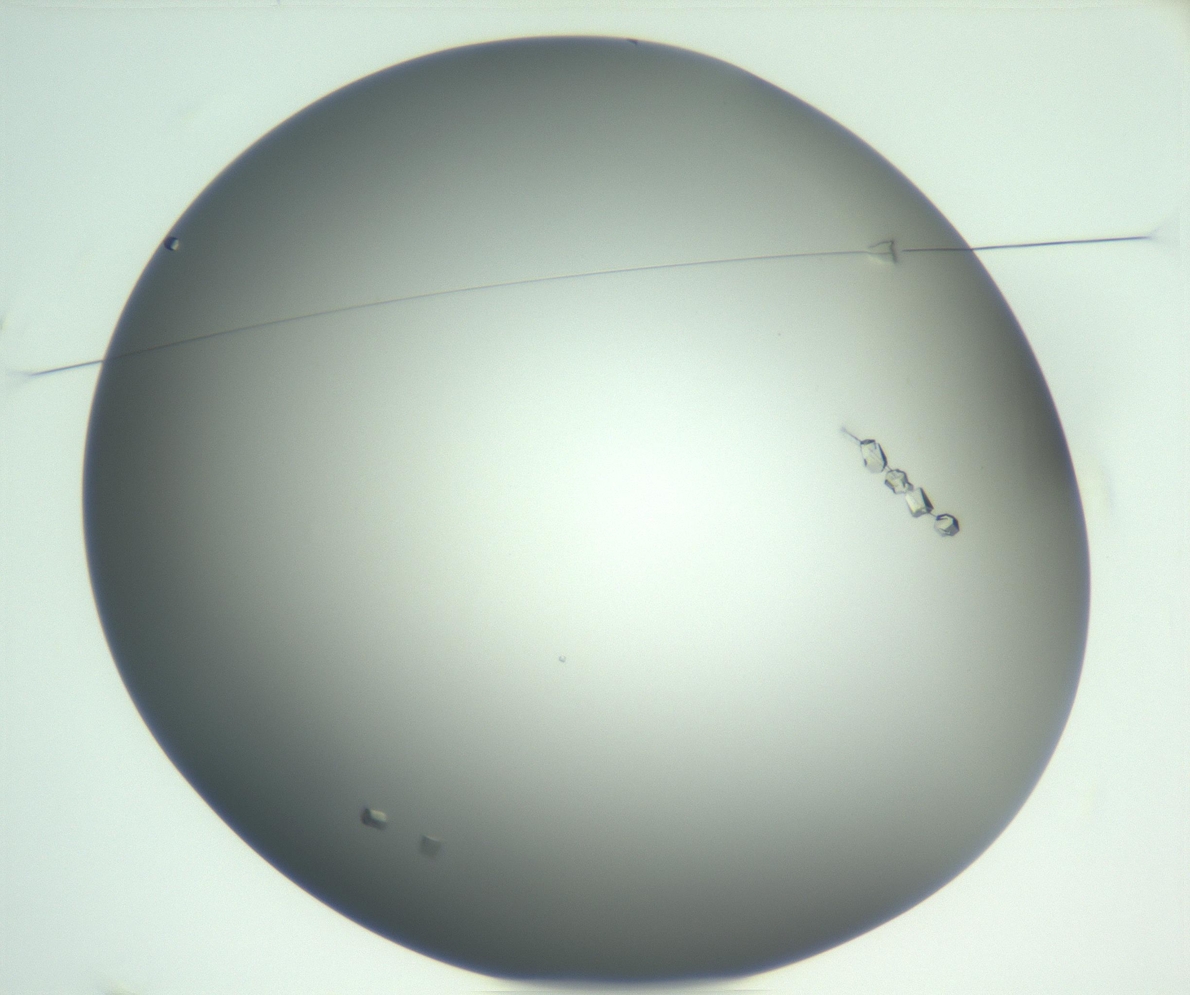 RI01_03_000_0212_Proj1_Clon1_MC_0000MC102923_004_161106_01_01_01_00_99_002_001_RAI.jpg