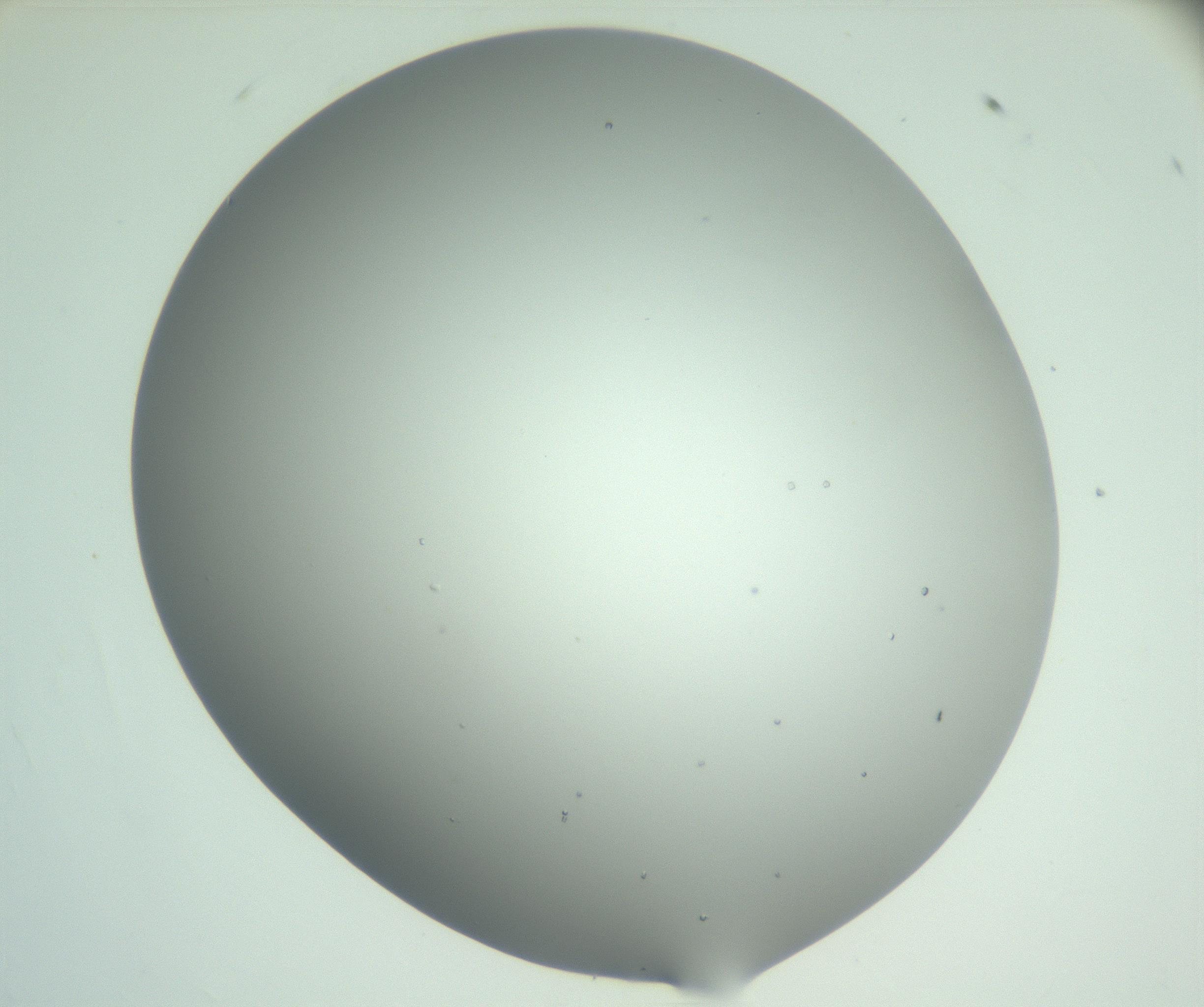 RI01_03_000_0212_Proj1_Clon1_MC_0000MC102923_004_161106_02_03_02_00_99_002_001_RAI.jpg
