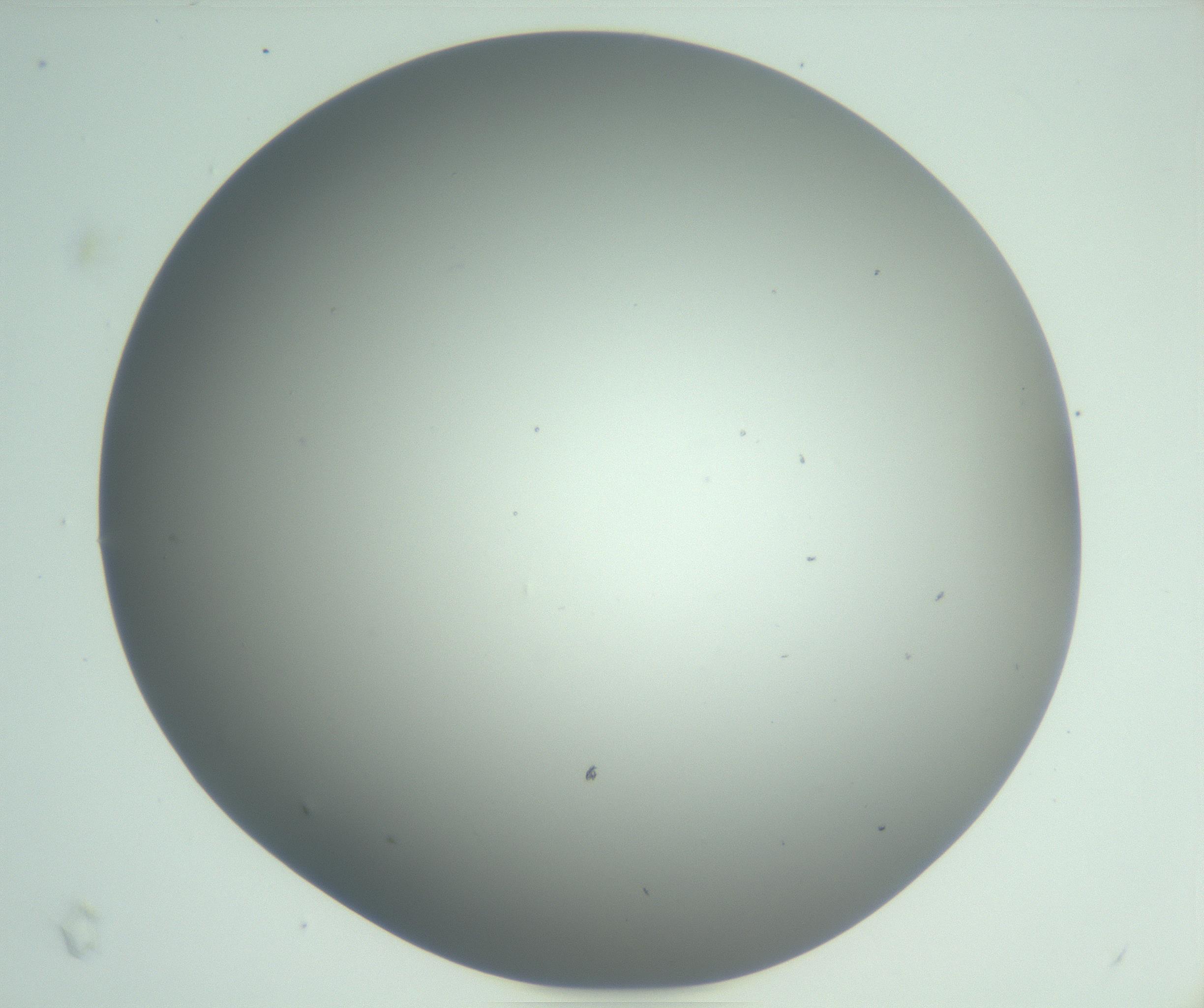 RI01_03_000_0212_Proj1_Clon1_MC_0000MC102923_004_161106_05_05_02_00_99_002_001_RAI.jpg