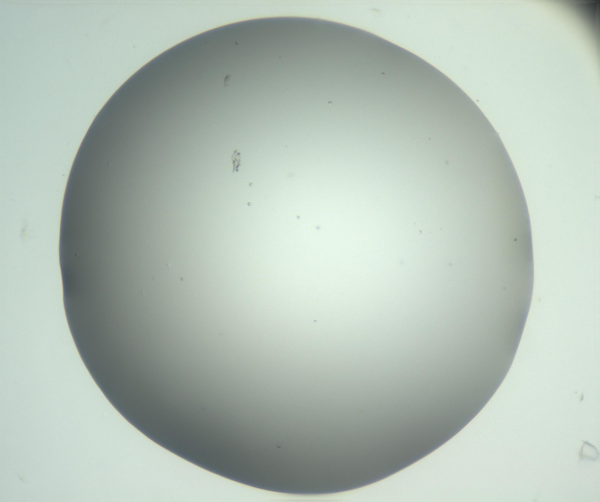 RI01_03_000_0212_Proj1_Clon1_MC_0000MC102923_004_161106_07_01_02_00_99_002_001_RAI.jpg