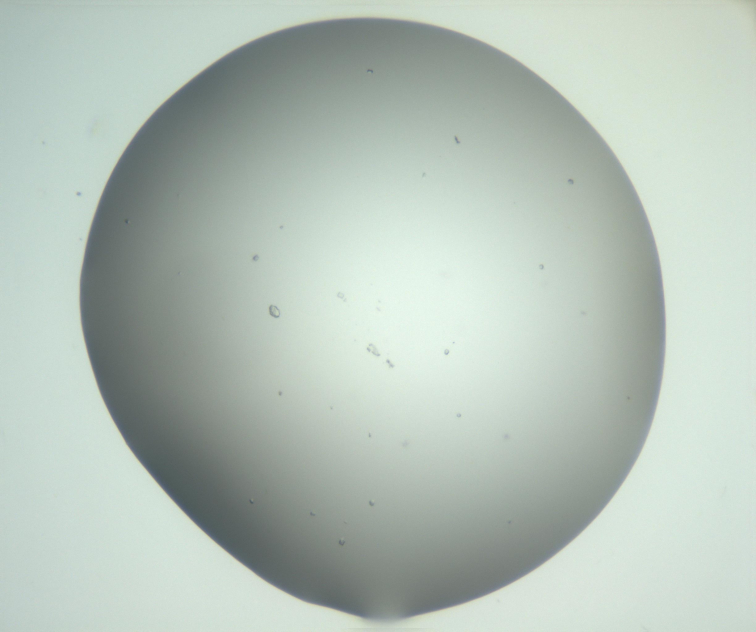 RI01_03_000_0212_Proj1_Clon1_MC_0000MC102923_004_161106_07_03_02_00_99_002_001_RAI.jpg
