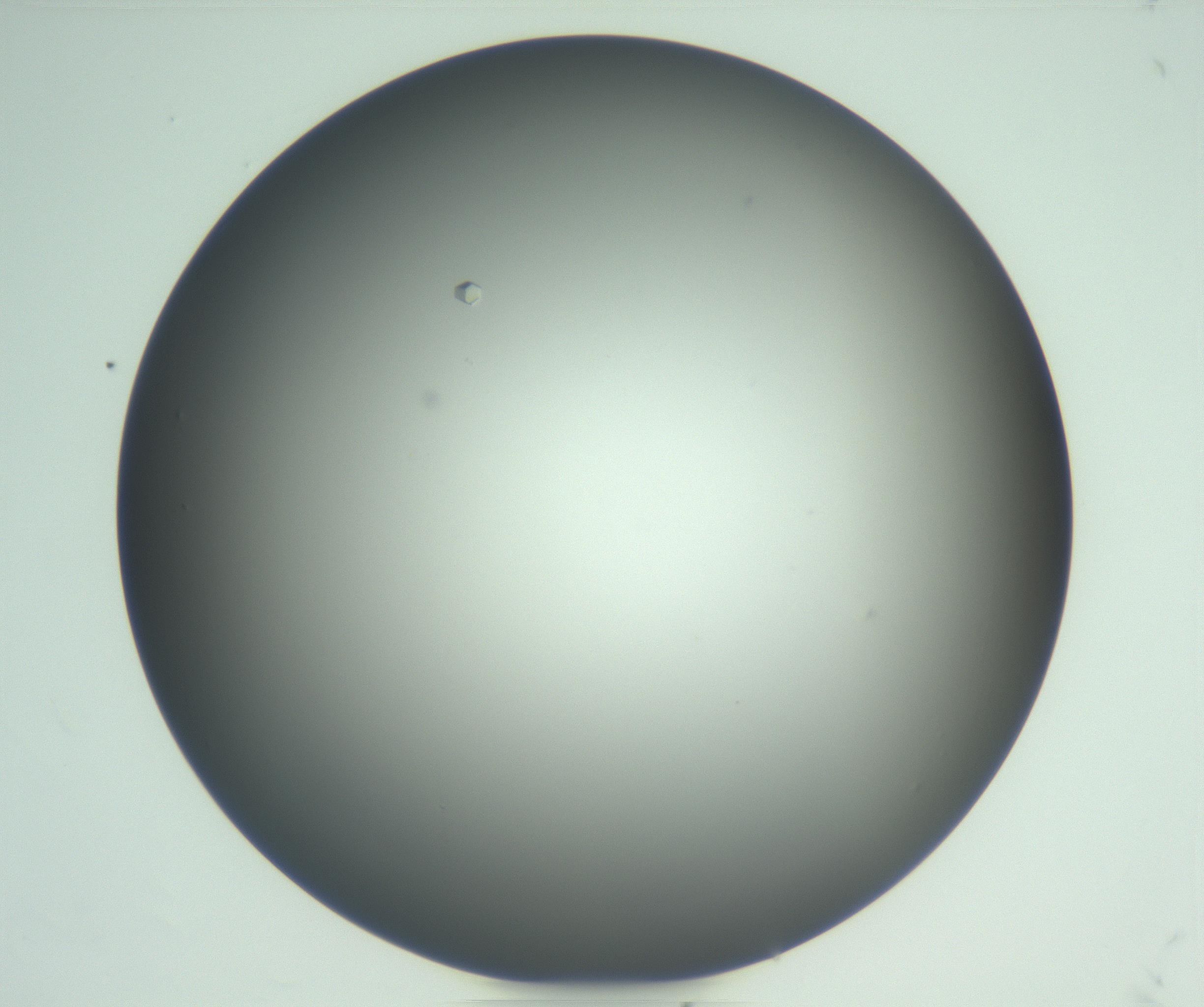 RI01_03_000_0212_Proj1_Clon1_MC_0000MC102923_004_161106_07_05_01_00_99_002_001_RAI.jpg