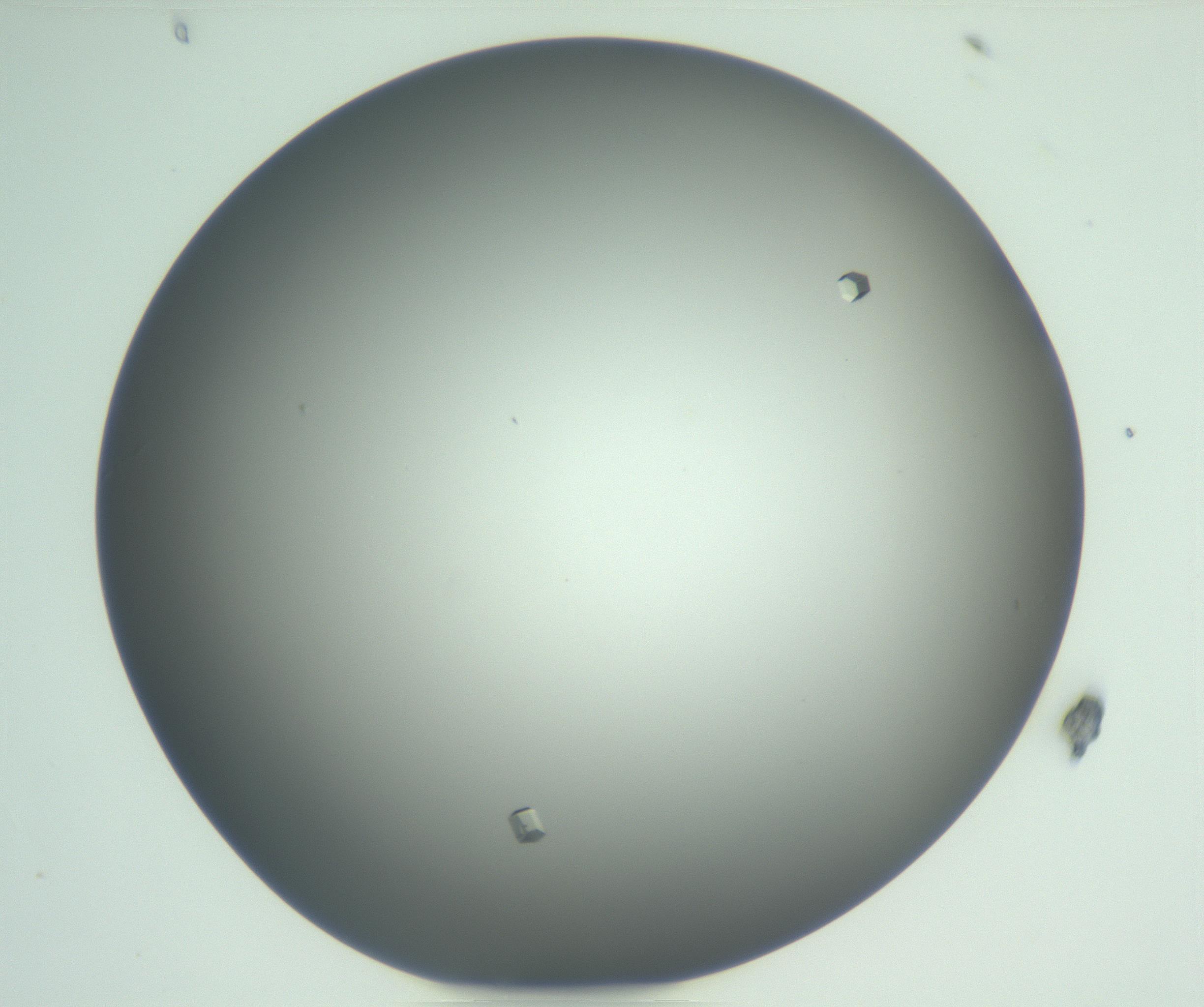 RI01_03_000_0212_Proj1_Clon1_MC_0000MC102923_004_161106_08_03_01_00_99_002_001_RAI.jpg