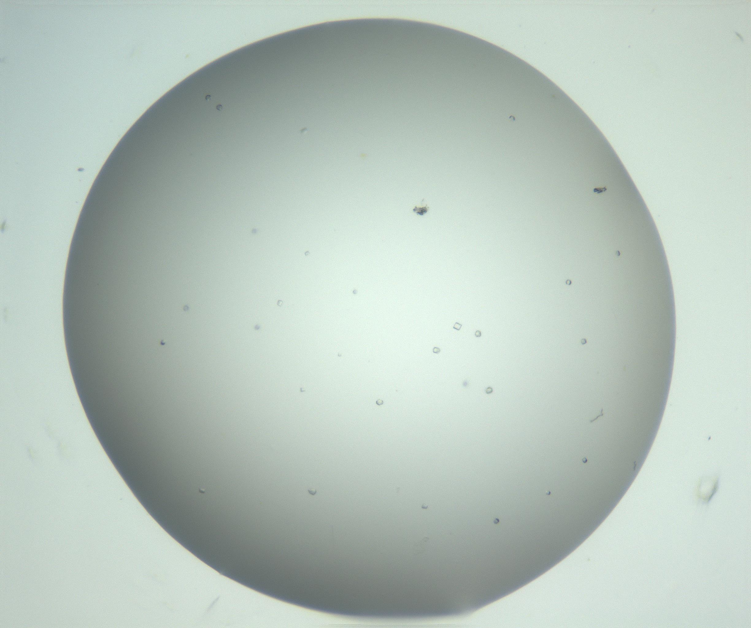 RI01_03_000_0212_Proj1_Clon1_MC_0000MC102923_004_161106_08_05_02_00_99_002_001_RAI.jpg