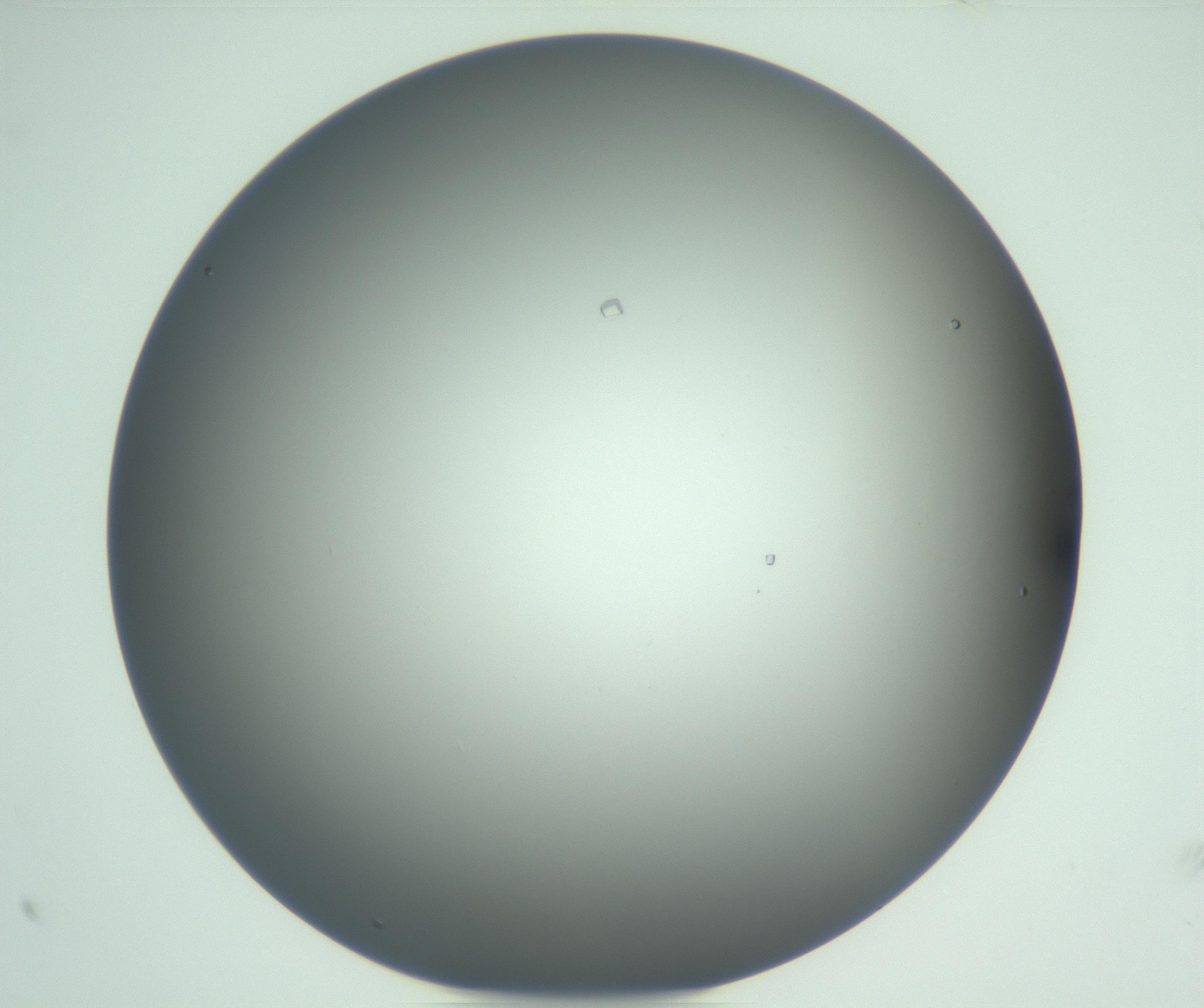 RI01_03_000_0212_Proj1_Clon1_MC_0000MC102923_004_161106_10_06_01_00_99_002_001_RAI.jpg