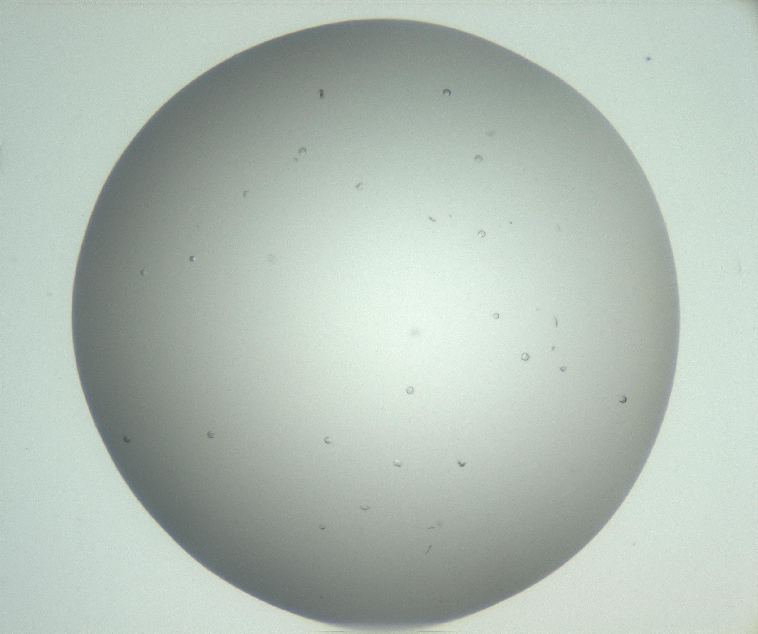 RI01_03_000_0212_Proj1_Clon1_MC_0000MC102923_004_161106_12_04_02_00_99_002_001_RAI.jpg
