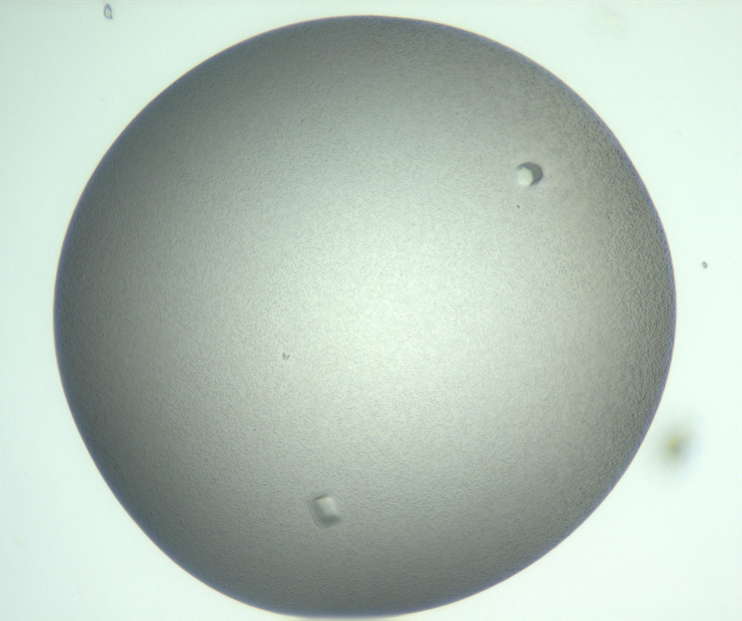 RI01_03_000_0212_Proj1_Clon1_MC_0000MC102923_011_161209_08_03_01_00_99_002_001_RAI.jpg