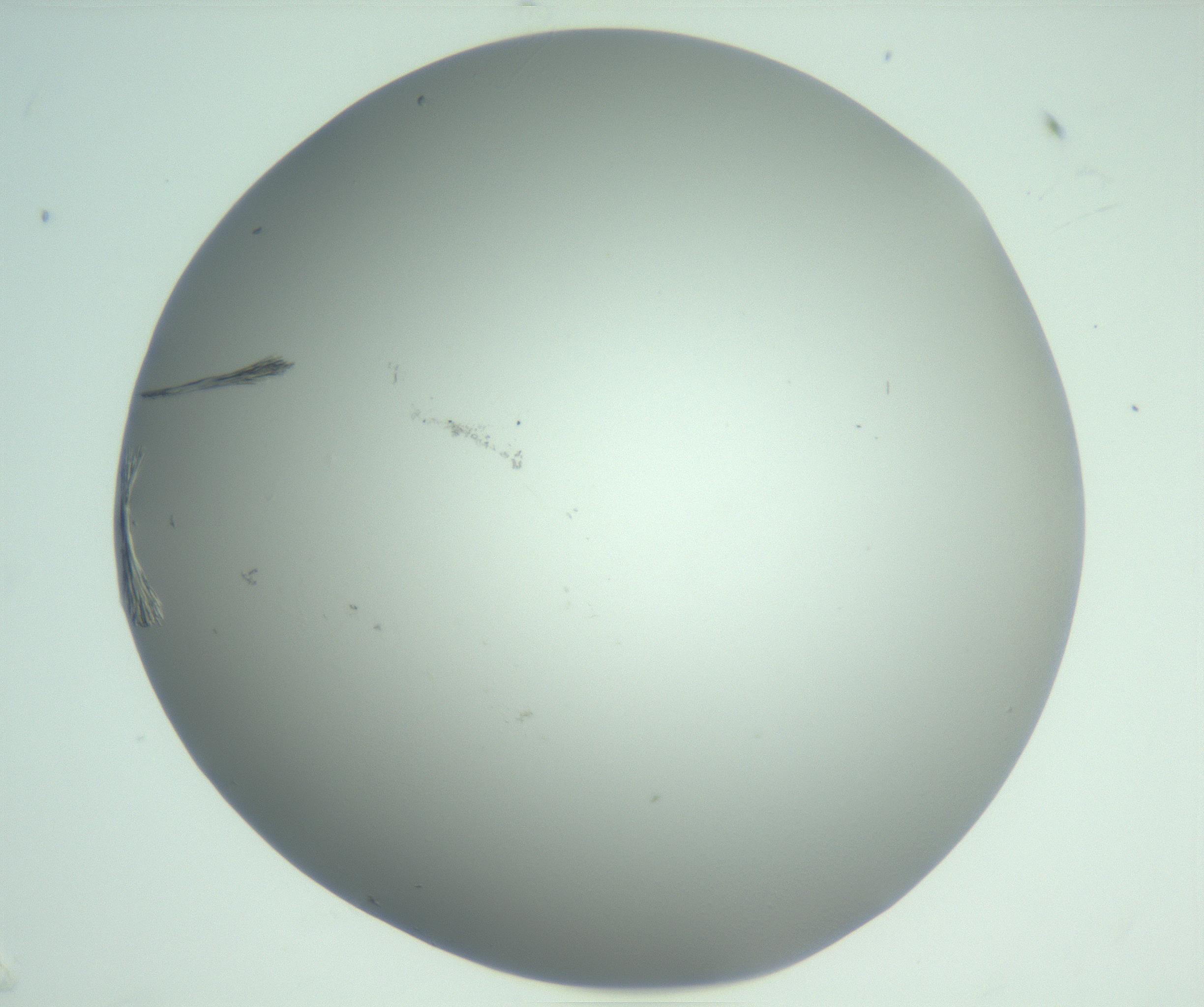 RI01_03_000_0212_Proj1_Clon1_MC_0000MC102924_009_161125_07_06_02_00_99_002_001_RAI.jpg