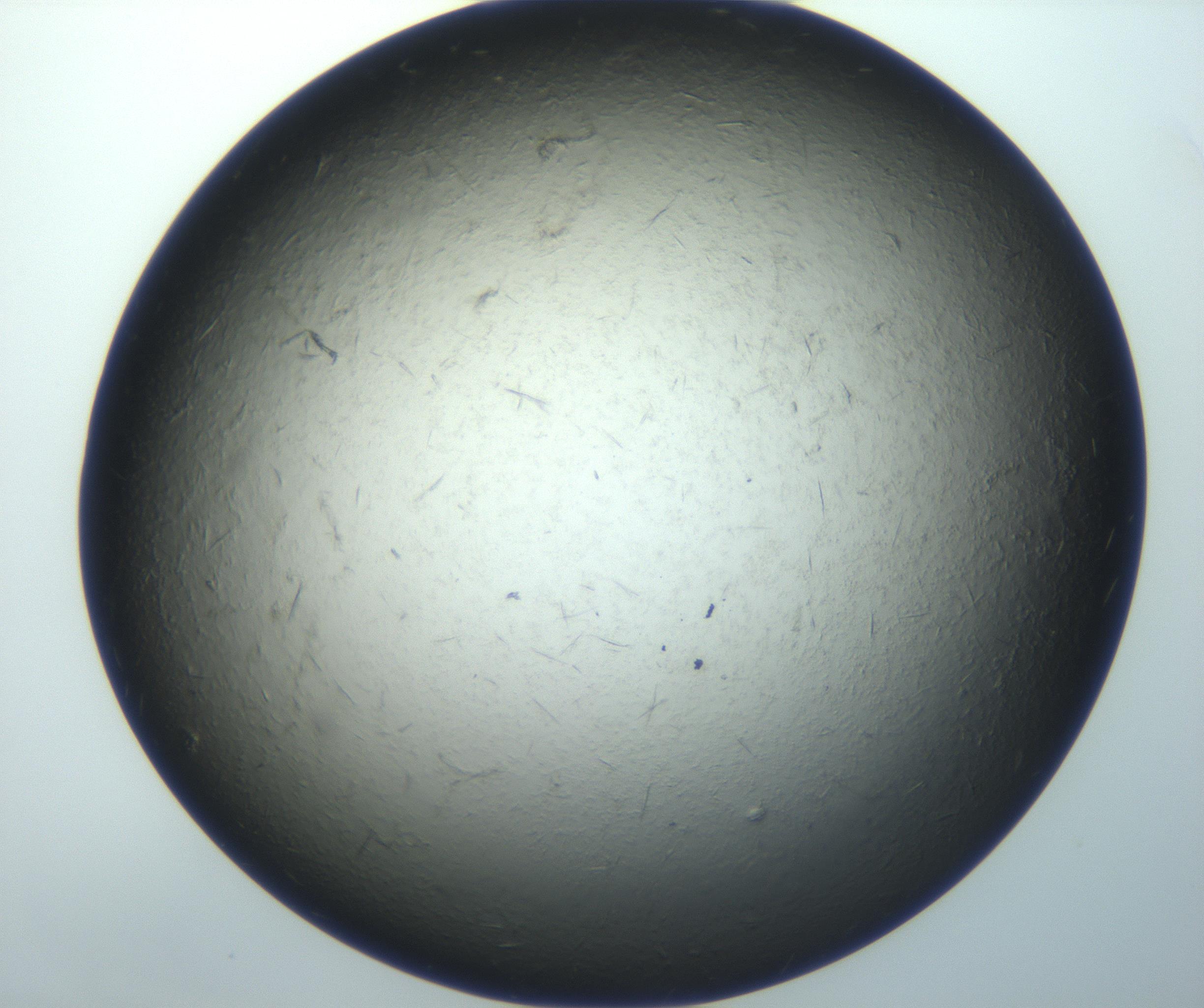 RI01_03_000_0212_Proj1_Clon1_MC_0000MC102926_002_161105_02_07_02_00_99_002_001_RAI.jpg