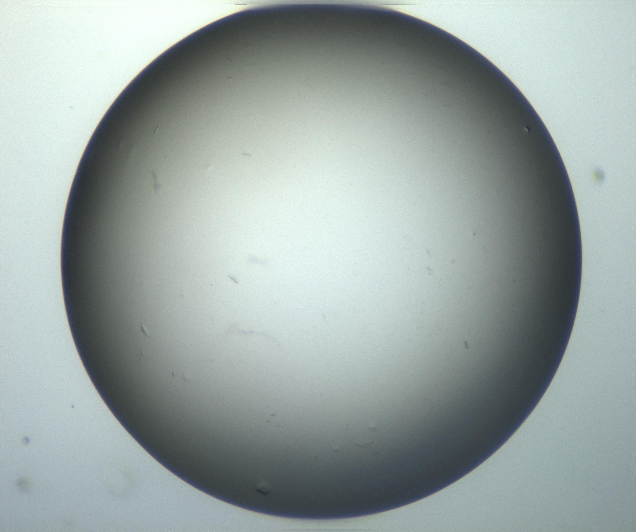 RI01_03_000_0212_Proj1_Clon1_MC_0000MC102926_004_161107_02_03_01_00_99_002_001_RAI.jpg