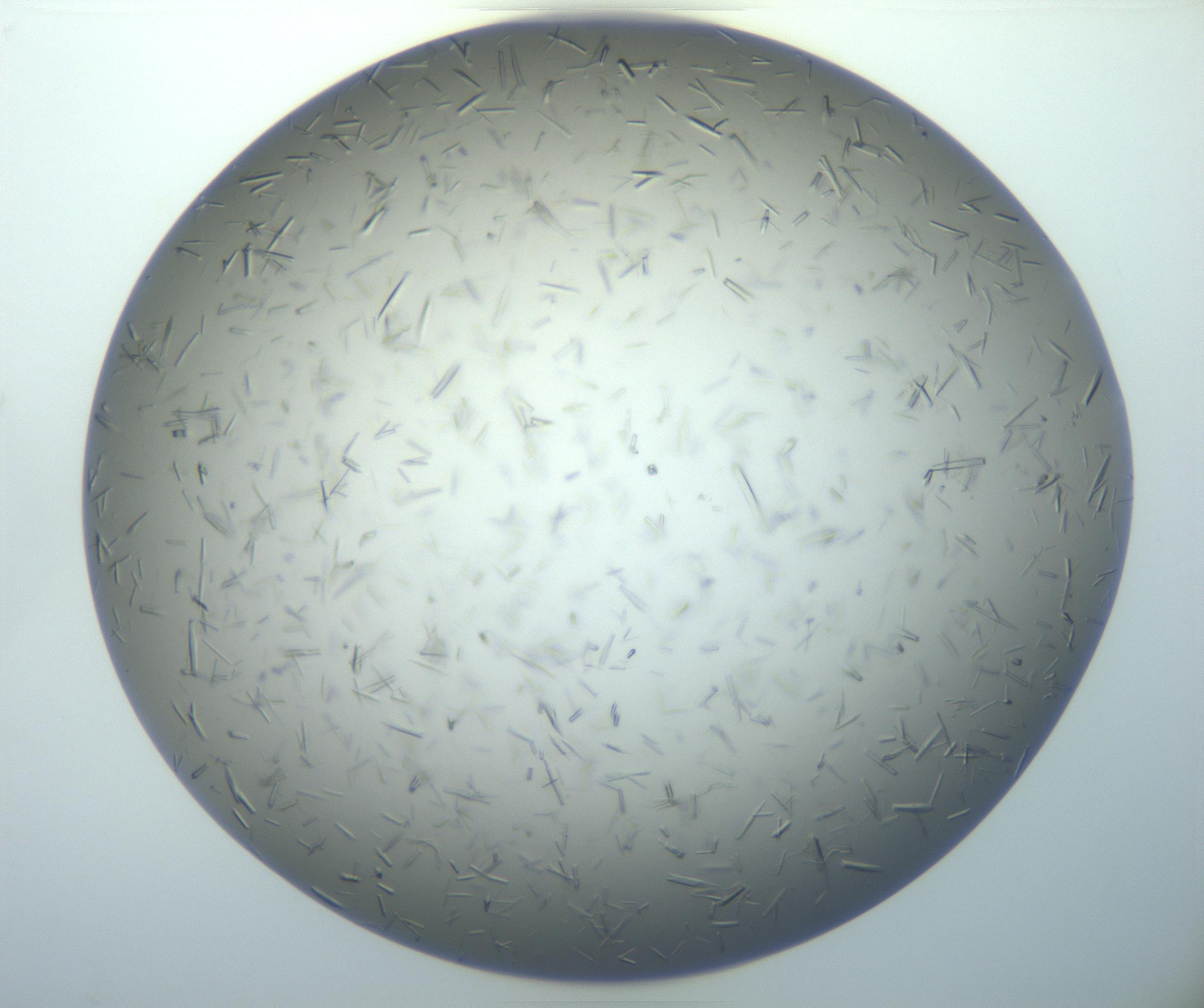 RI01_03_000_0212_Proj1_Clon1_MC_0000MC102926_004_161107_03_03_02_00_99_002_001_RAI.jpg