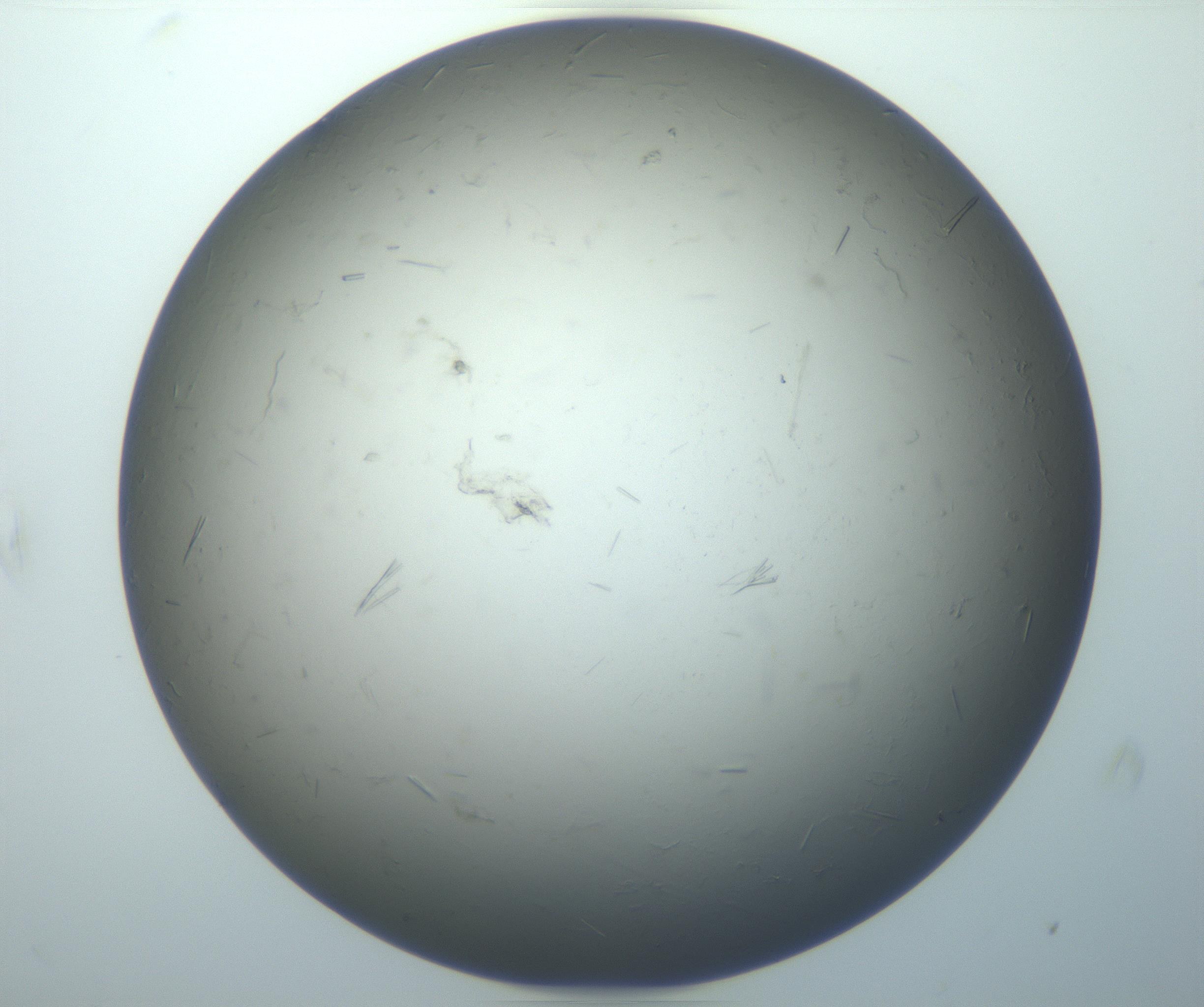 RI01_03_000_0212_Proj1_Clon1_MC_0000MC102926_004_161107_09_07_01_00_99_002_001_RAI.jpg