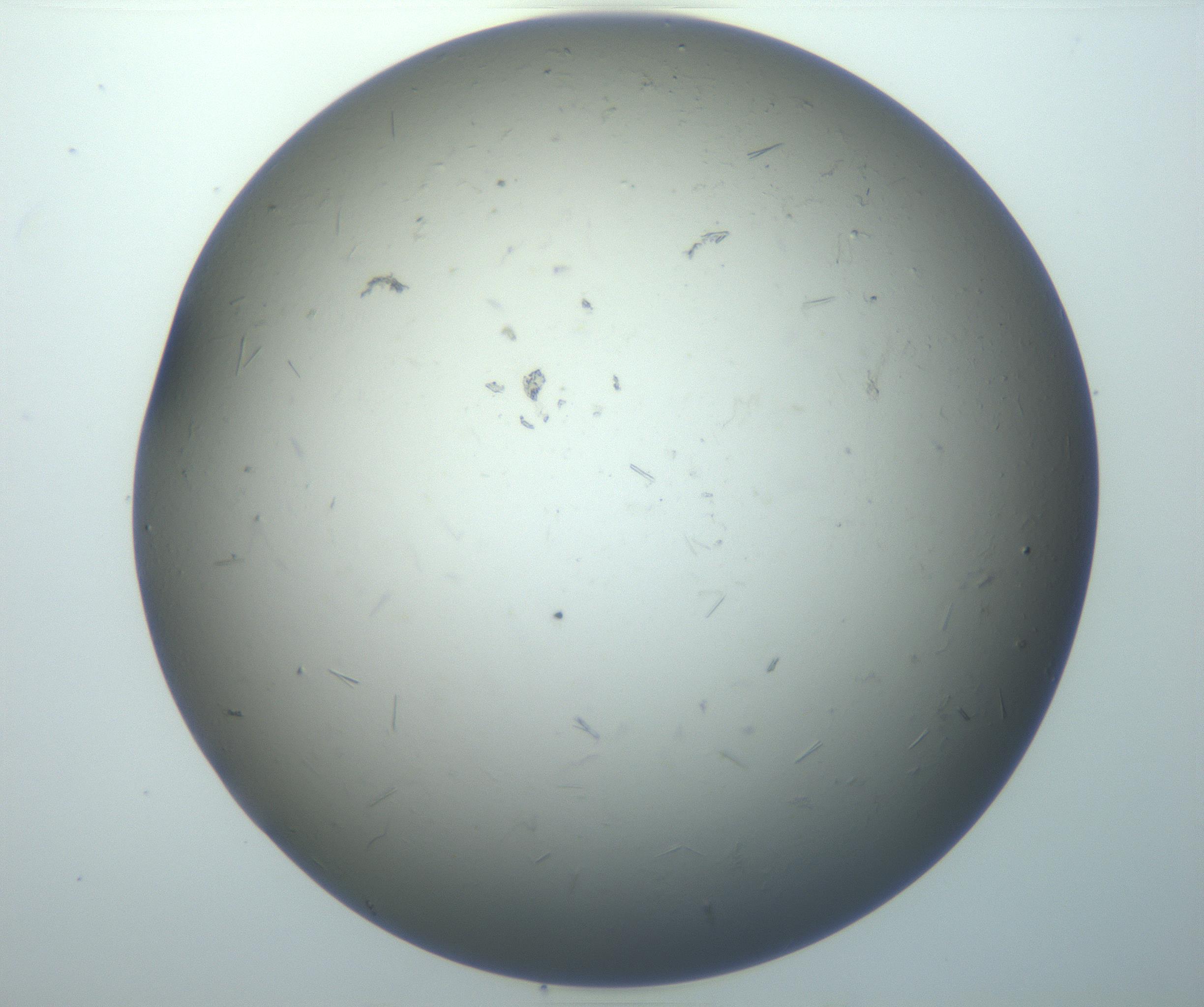 RI01_03_000_0212_Proj1_Clon1_MC_0000MC102926_004_161107_09_07_02_00_99_002_001_RAI.jpg