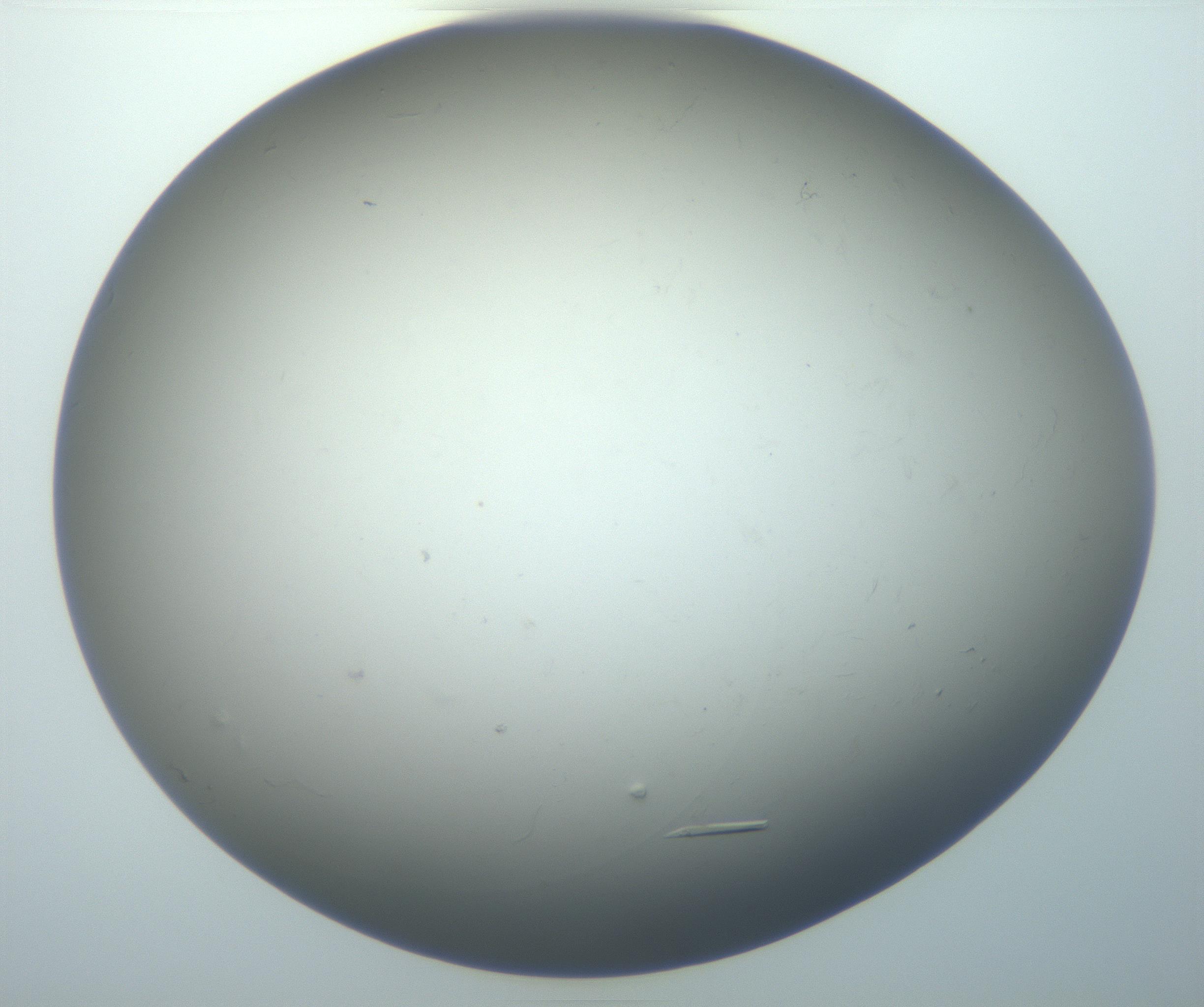 RI01_03_000_0212_Proj1_Clon1_MC_0000MC102926_006_161109_01_08_01_00_99_002_001_RAI.jpg