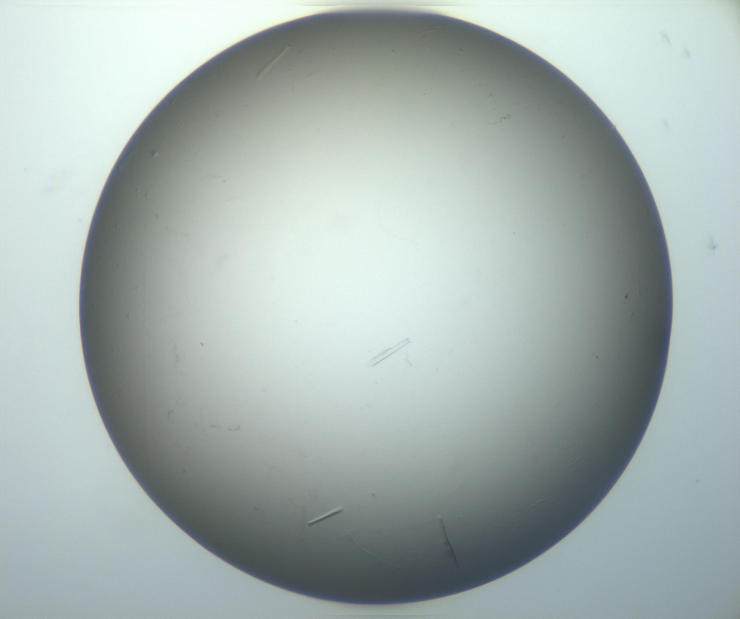 RI01_03_000_0212_Proj1_Clon1_MC_0000MC102926_006_161109_05_07_01_00_99_002_001_RAI.jpg
