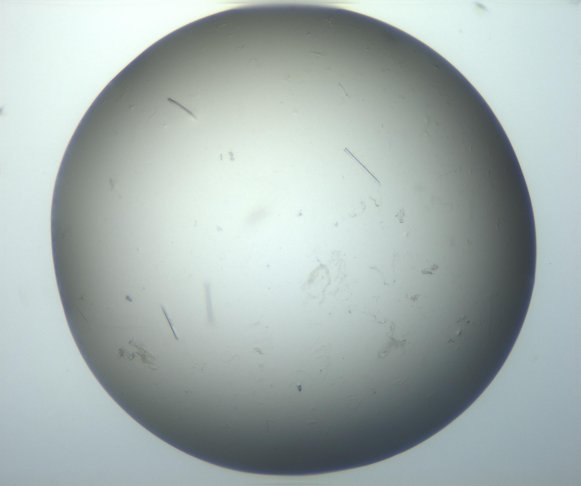 RI01_03_000_0212_Proj1_Clon1_MC_0000MC102926_006_161109_07_05_01_00_99_002_001_RAI.jpg