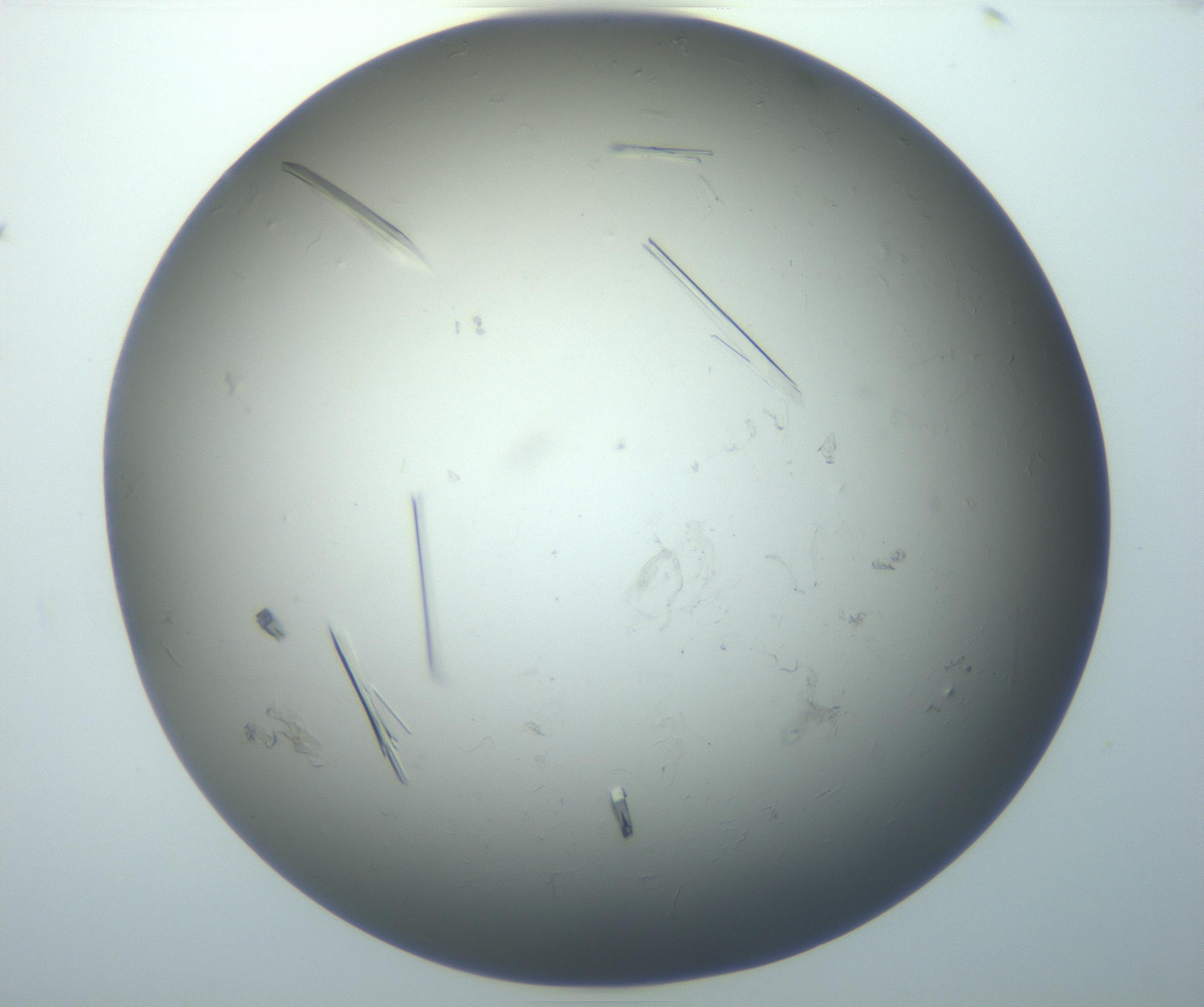 RI01_03_000_0212_Proj1_Clon1_MC_0000MC102926_007_161111_07_05_01_00_99_002_001_RAI.jpg