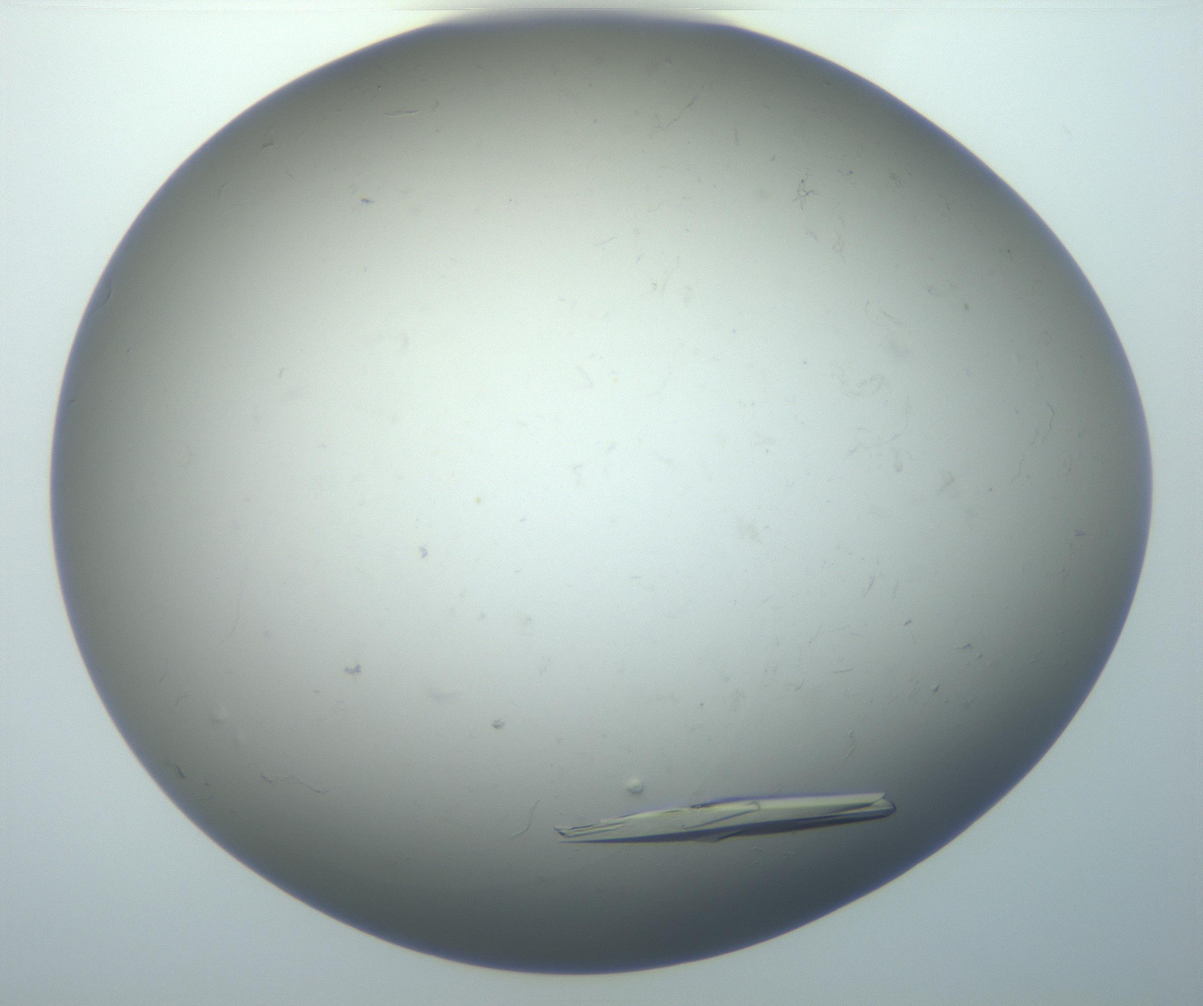 RI01_03_000_0212_Proj1_Clon1_MC_0000MC102926_008_161114_01_08_01_00_99_002_001_RAI.jpg