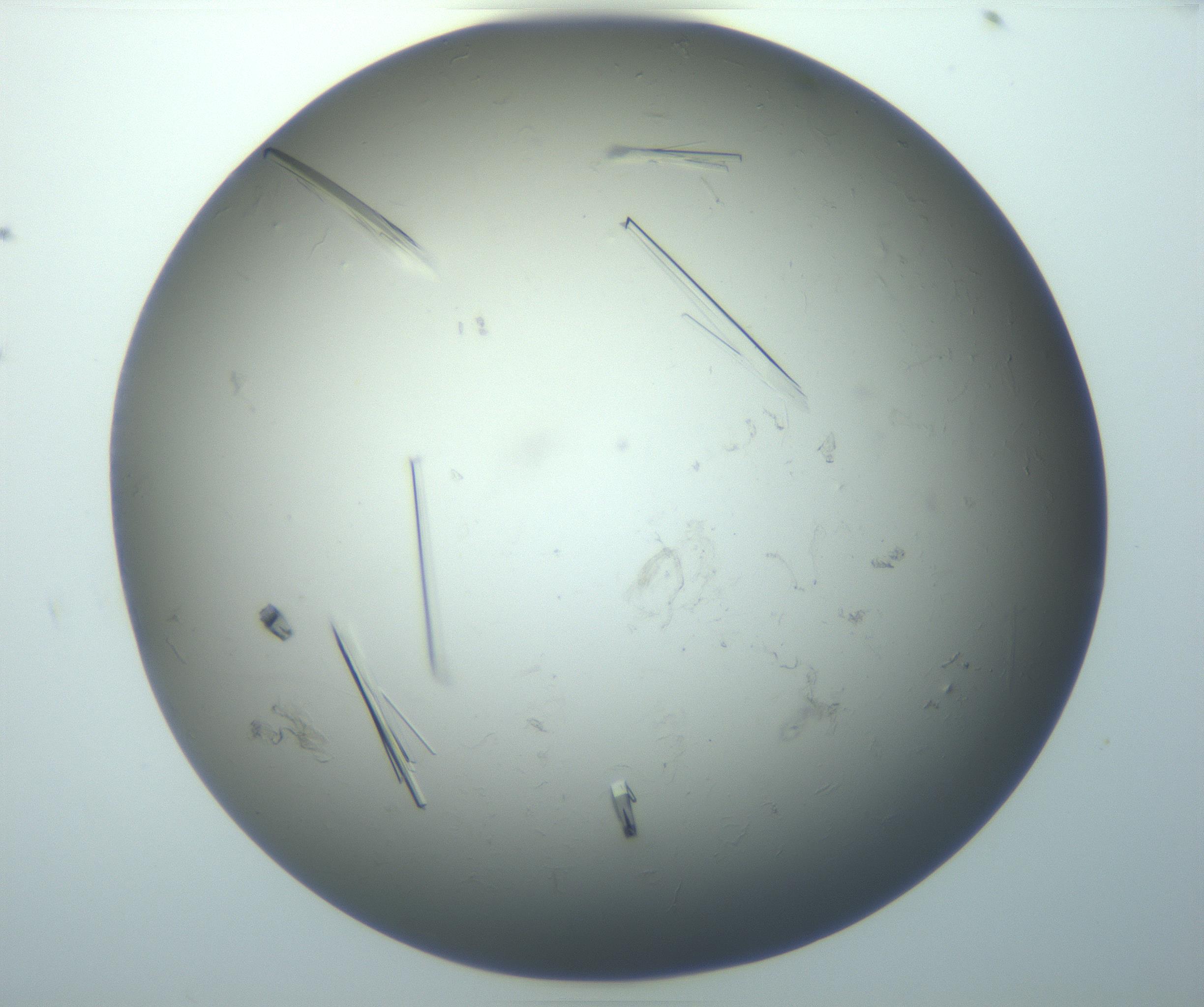 RI01_03_000_0212_Proj1_Clon1_MC_0000MC102926_010_161125_07_05_01_00_99_002_001_RAI.jpg
