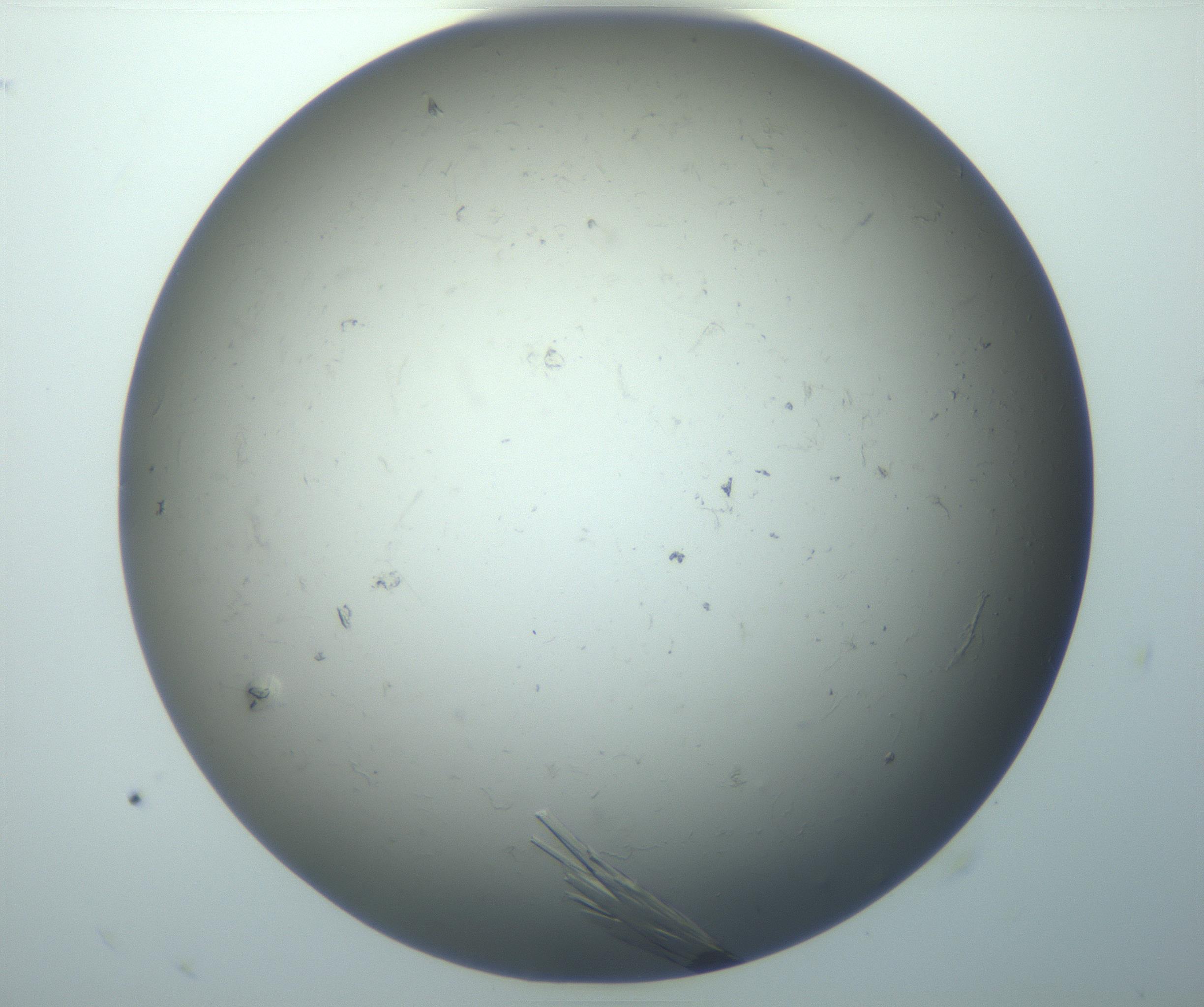 RI01_03_000_0212_Proj1_Clon1_MC_0000MC102926_010_161125_09_03_02_00_99_002_001_RAI.jpg