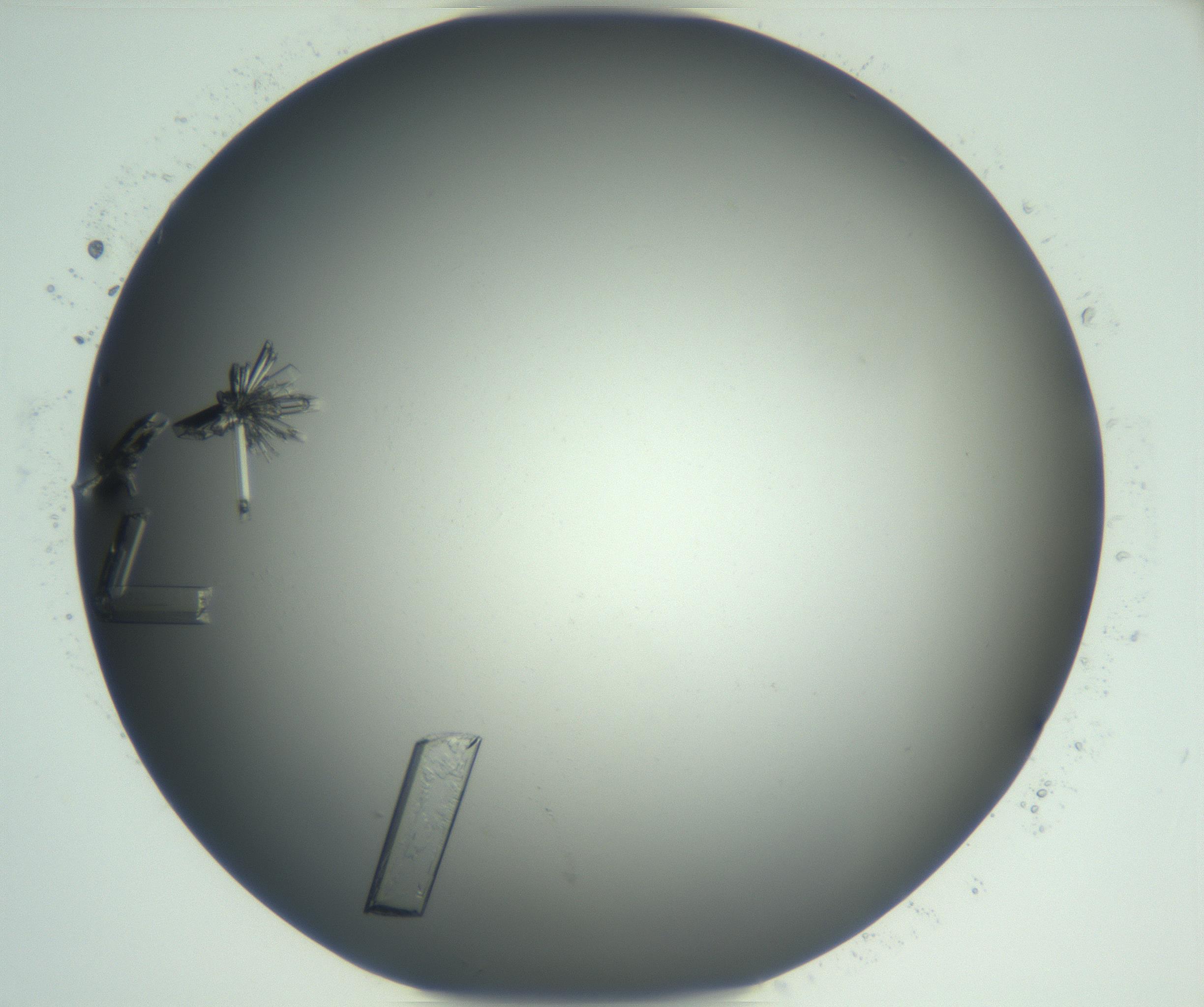 RI01_03_000_0212_Proj1_Clon1_MC_0000MC102927_002_161105_11_02_02_00_99_002_001_RAI.jpg