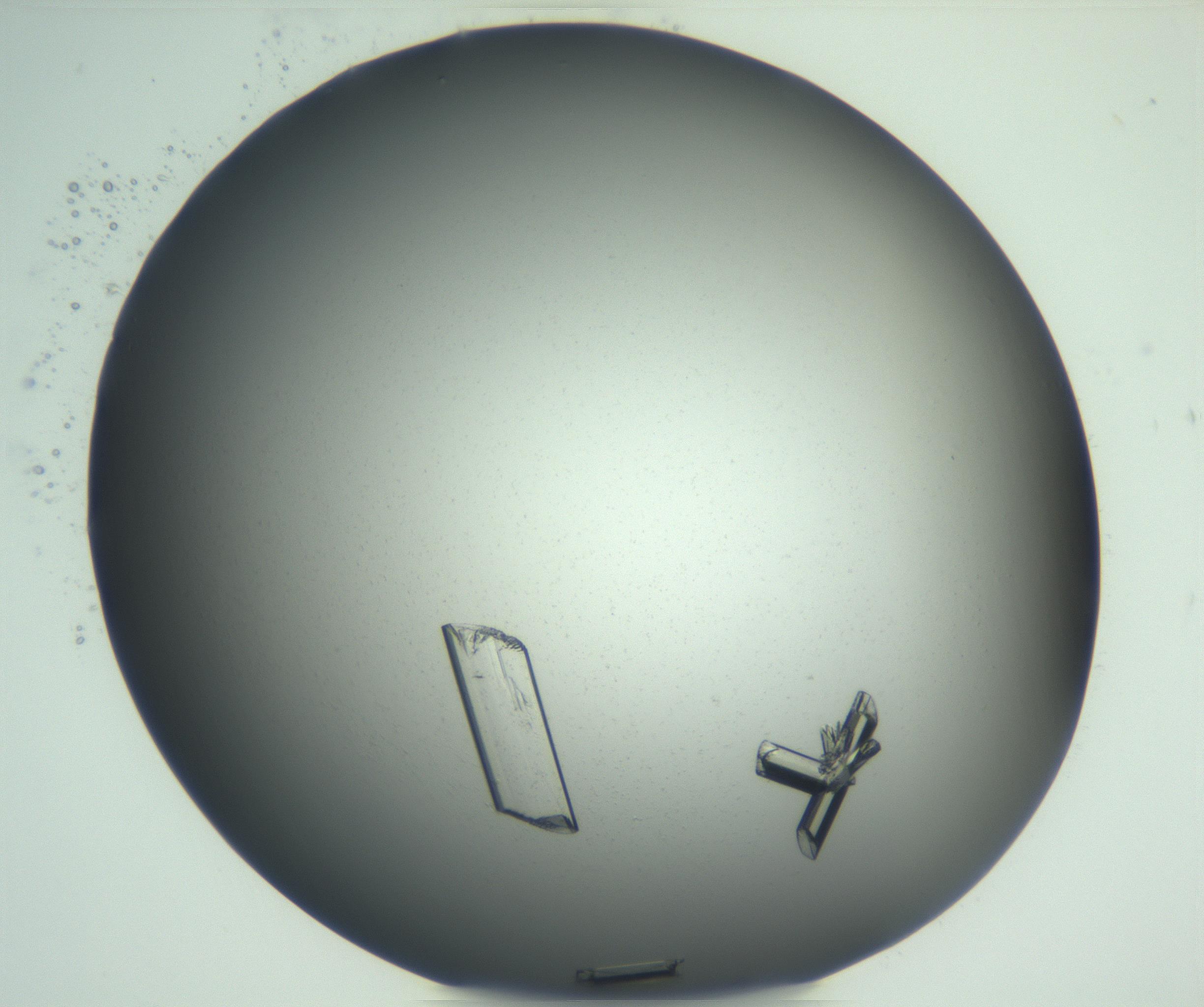 RI01_03_000_0212_Proj1_Clon1_MC_0000MC102928_002_161105_05_02_02_00_99_002_001_RAI.jpg