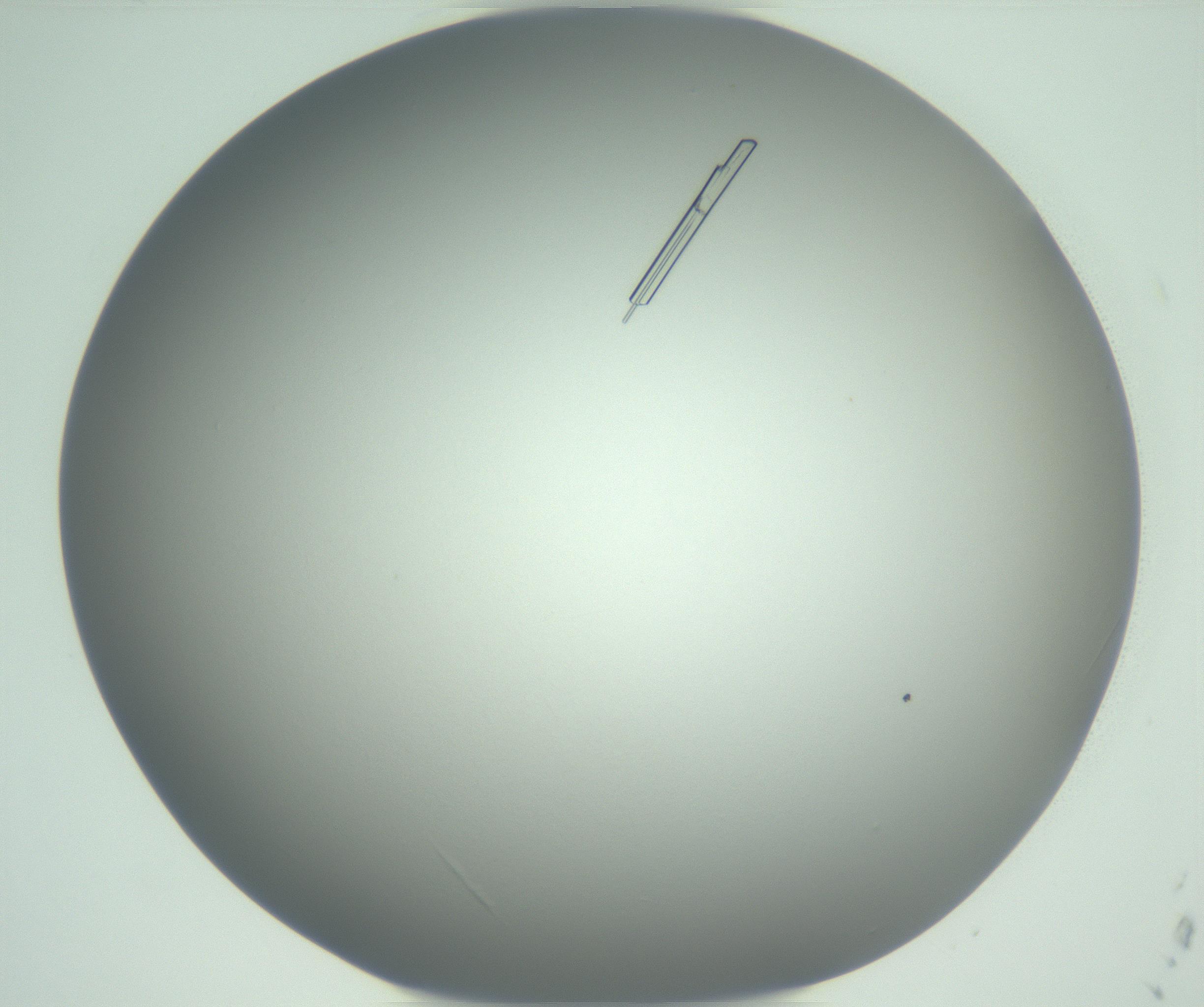 RI01_03_000_0212_Proj1_Clon1_MC_0000MC102928_004_161109_12_06_01_00_99_002_001_RAI.jpg