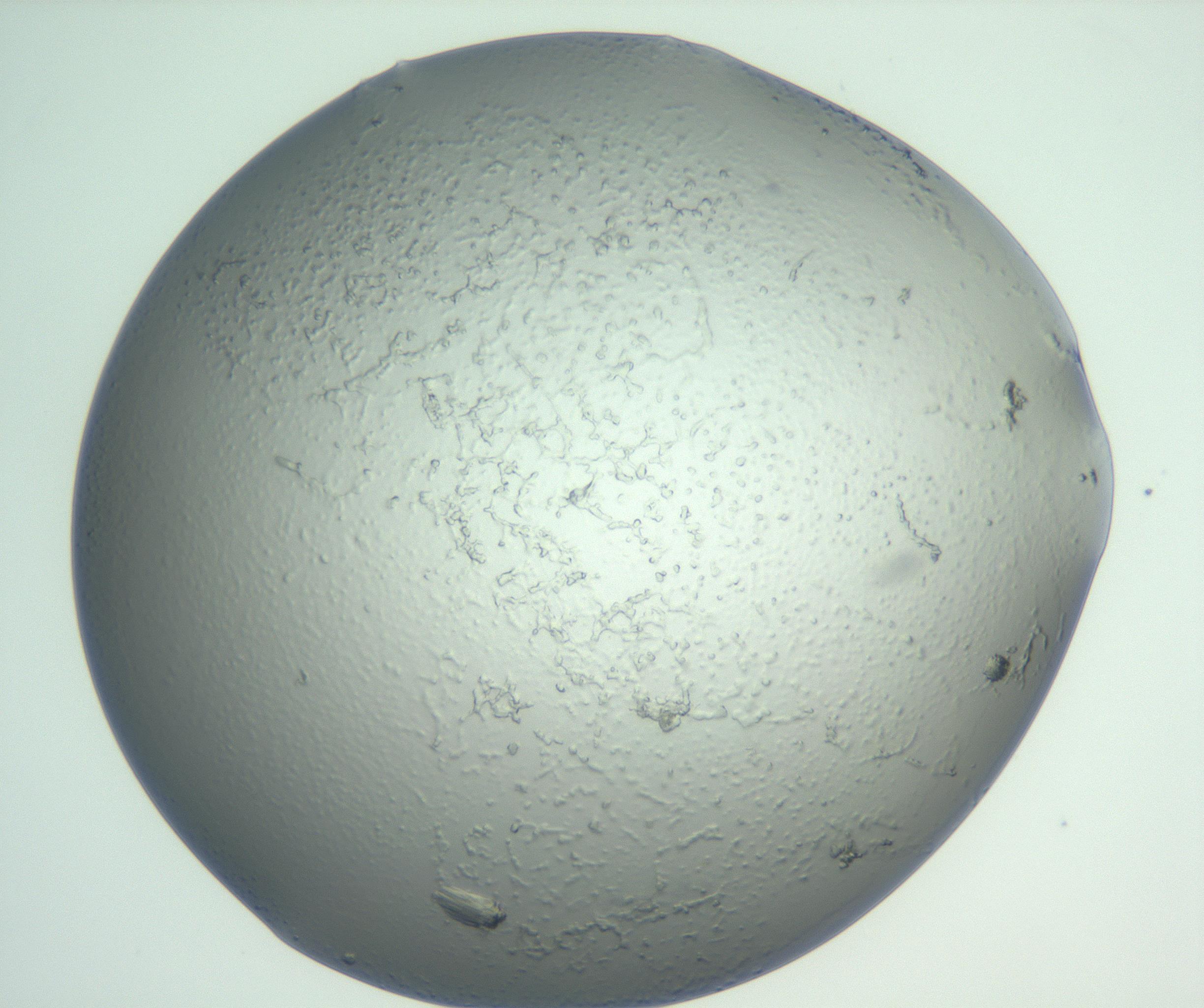 RI01_03_000_0212_Proj1_Clon1_MC_0000MC102929_003_161107_07_08_01_00_99_002_001_RAI.jpg