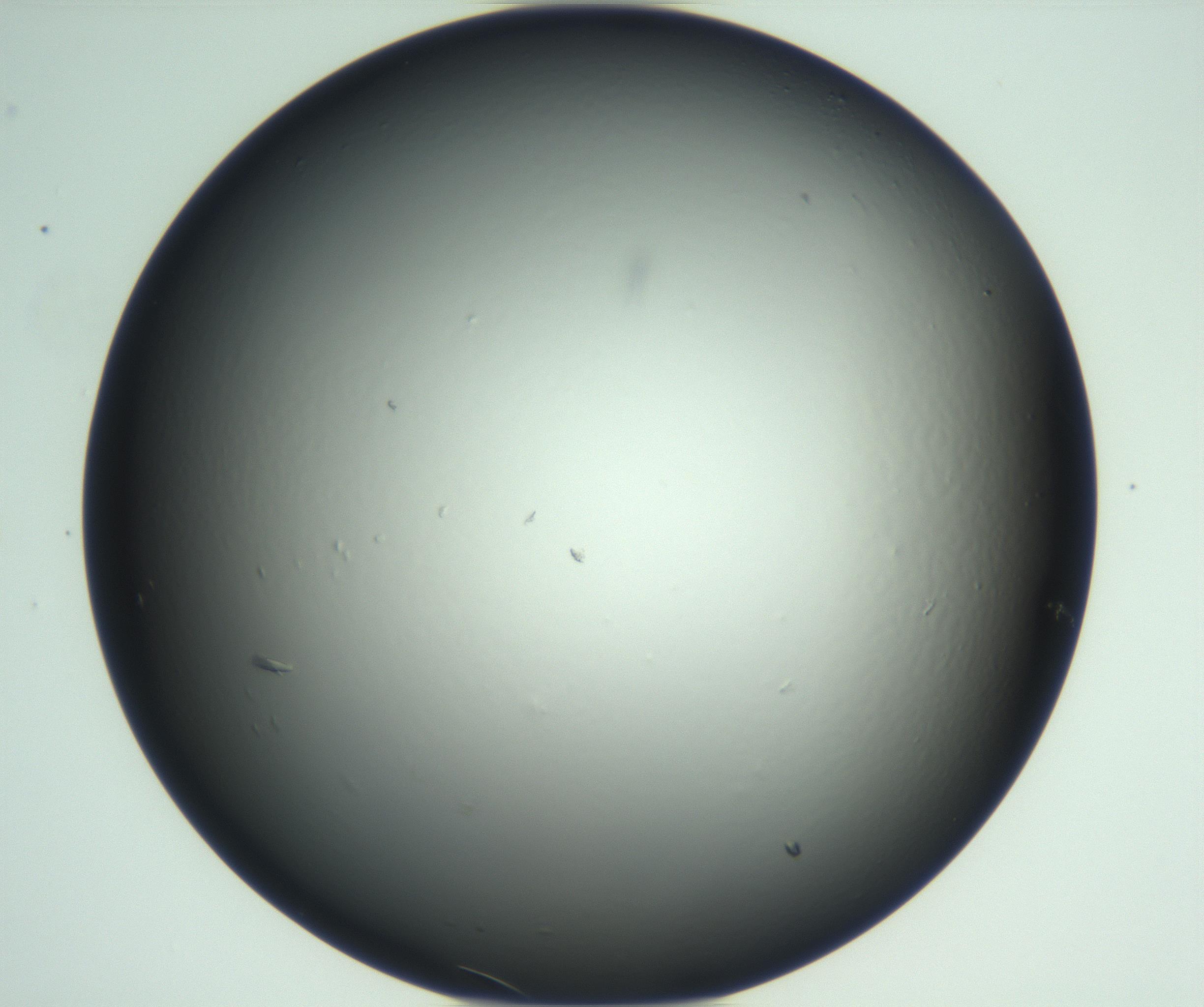 RI01_03_000_0212_Proj1_Clon1_MC_0000MC102933_002_161106_05_05_02_00_99_002_001_RAI.jpg