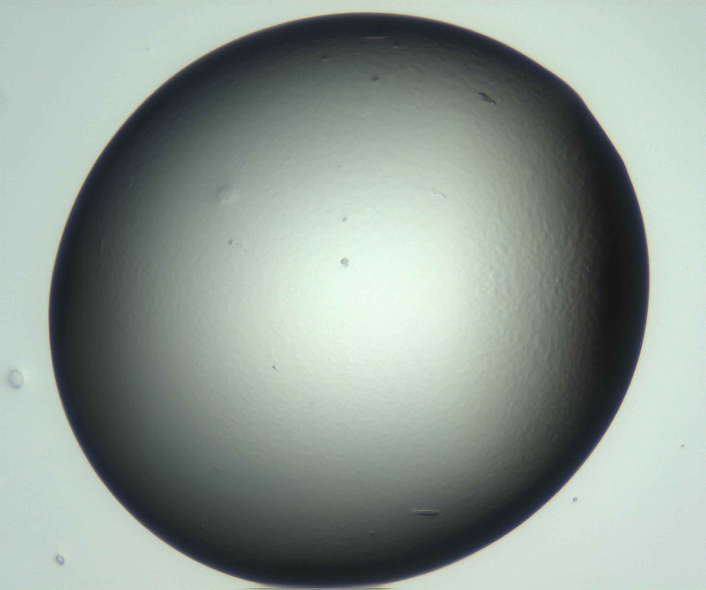RI01_03_000_0212_Proj1_Clon1_MC_0000MC102933_002_161106_07_07_01_00_99_002_001_RAI.jpg