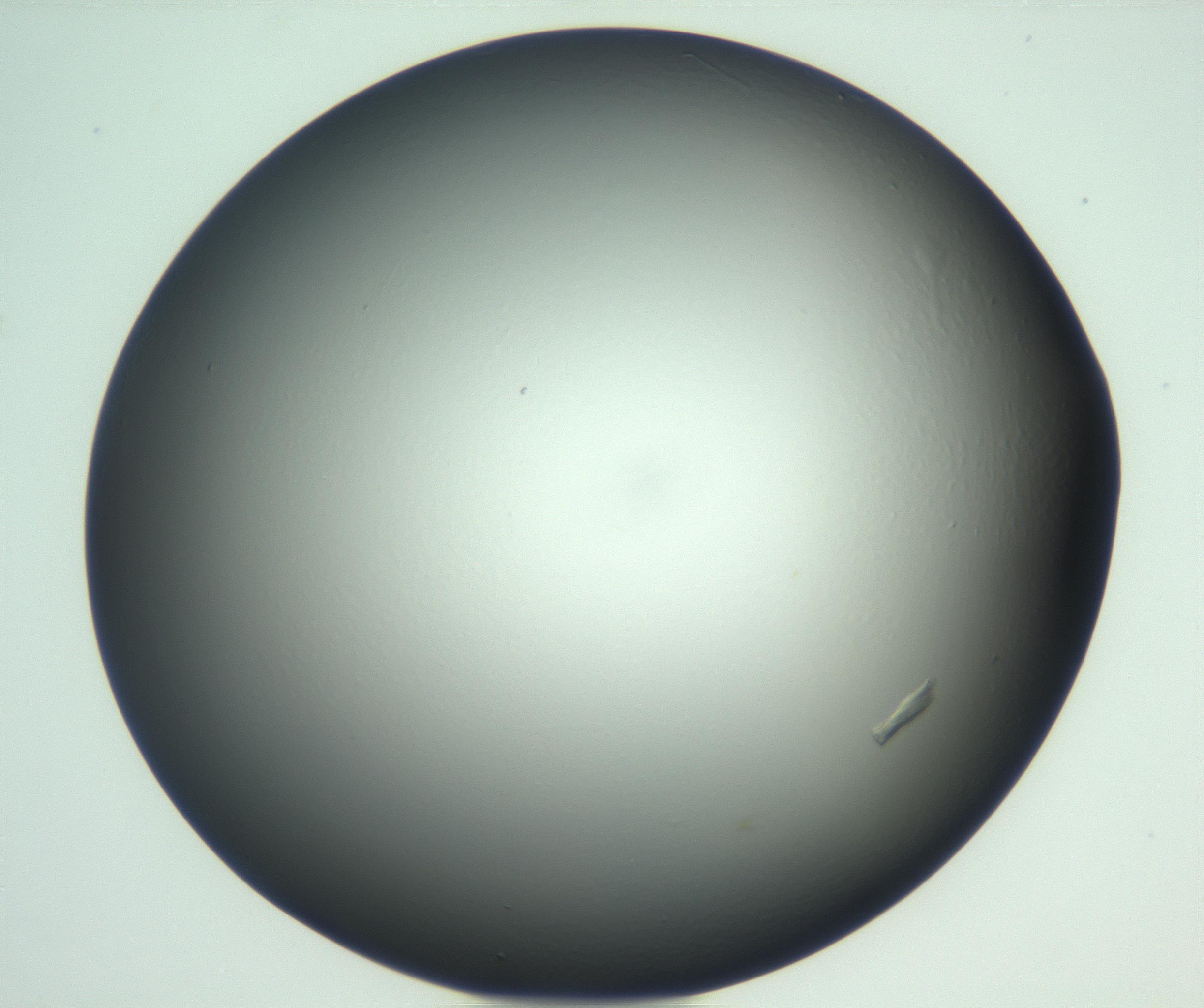 RI01_03_000_0212_Proj1_Clon1_MC_0000MC102933_002_161106_08_08_01_00_99_002_001_RAI.jpg
