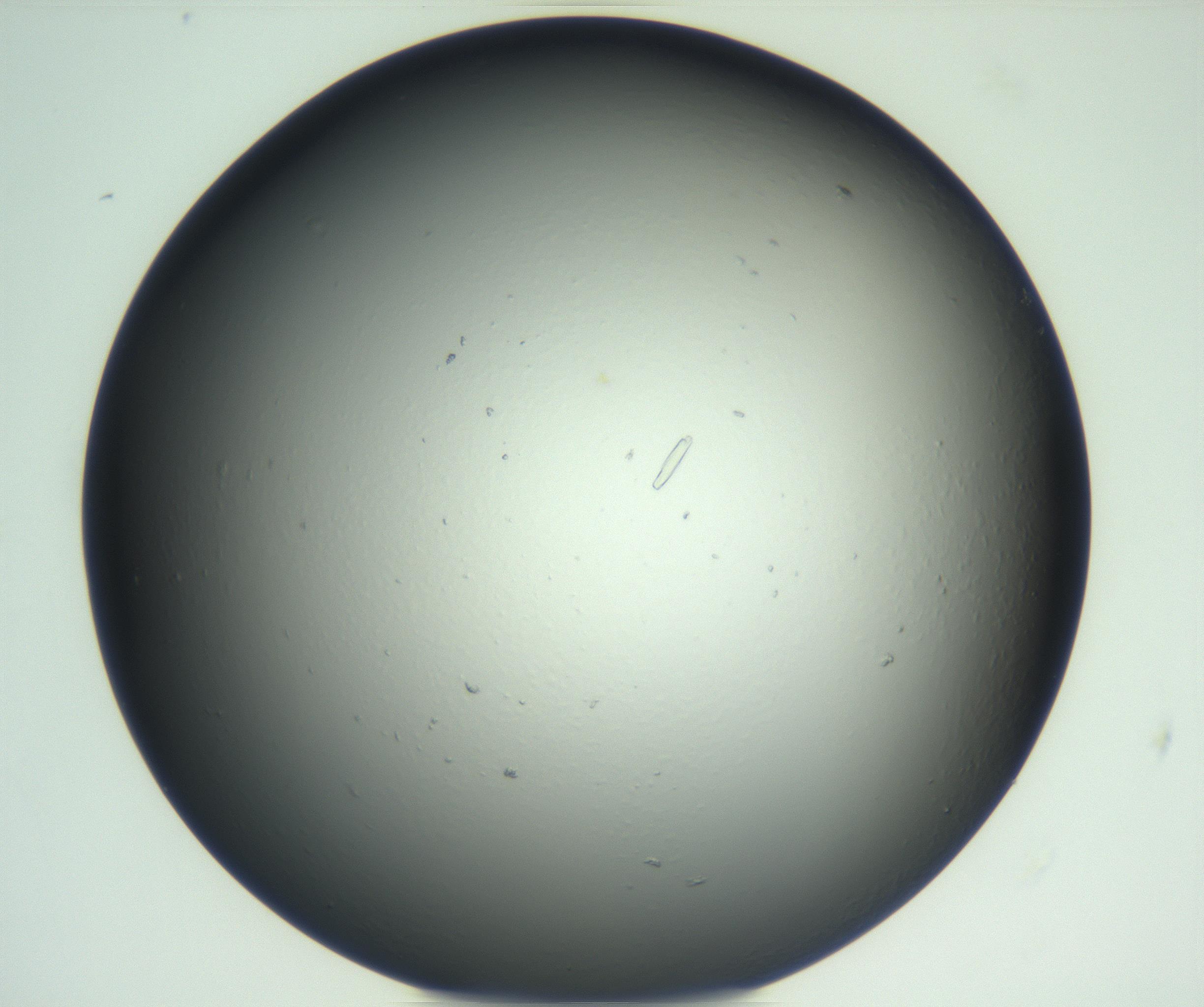 RI01_03_000_0212_Proj1_Clon1_MC_0000MC102933_002_161106_11_01_02_00_99_002_001_RAI.jpg