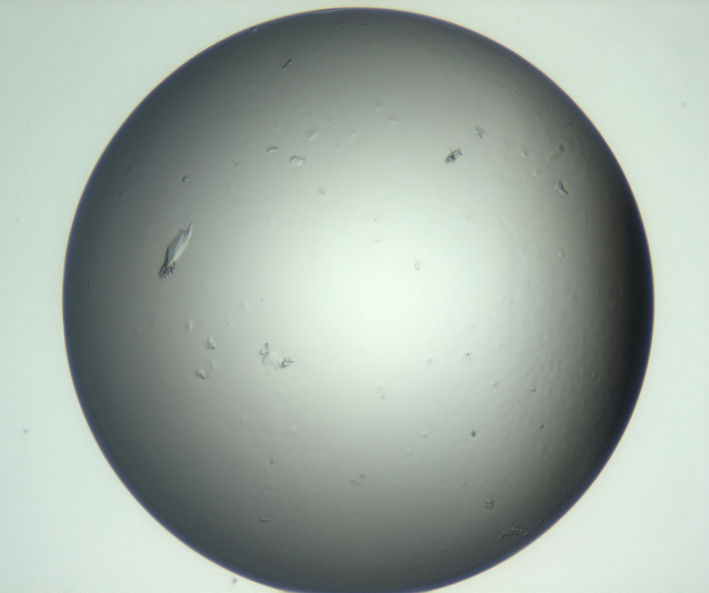 RI01_03_000_0212_Proj1_Clon1_MC_0000MC102933_004_161110_12_06_02_00_99_002_001_RAI.jpg