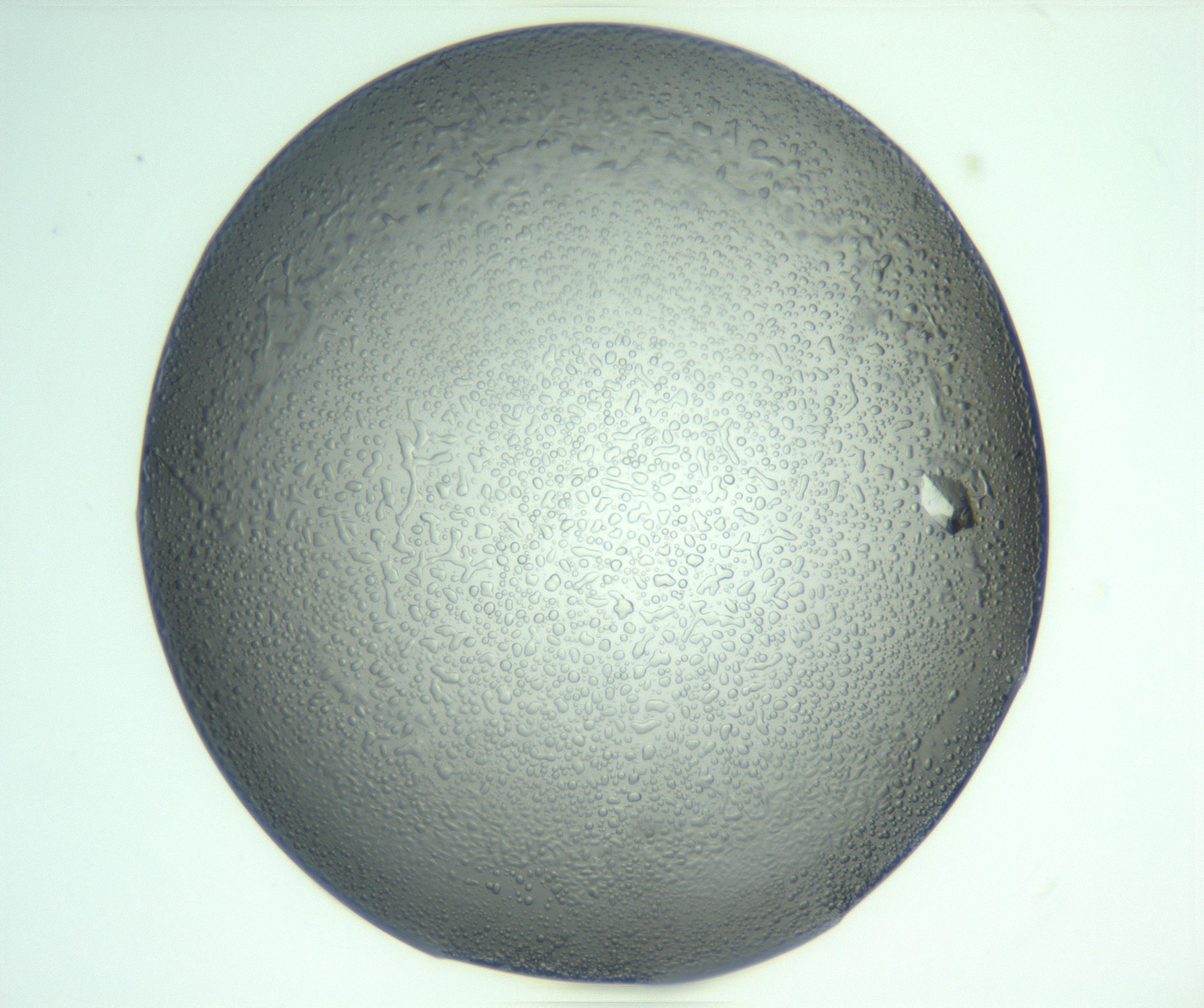 RI01_03_000_0212_Proj1_Clon1_MC_0000MC102933_008_161126_08_02_01_00_99_002_001_RAI.jpg