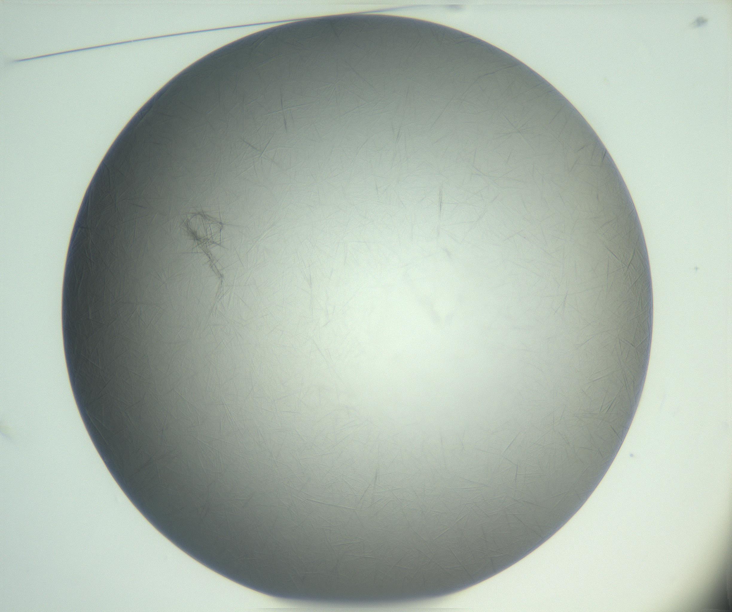 RI01_03_000_0212_Proj1_Clon1_MC_0000MC102940_002_161106_01_01_01_00_99_002_001_RAI.jpg