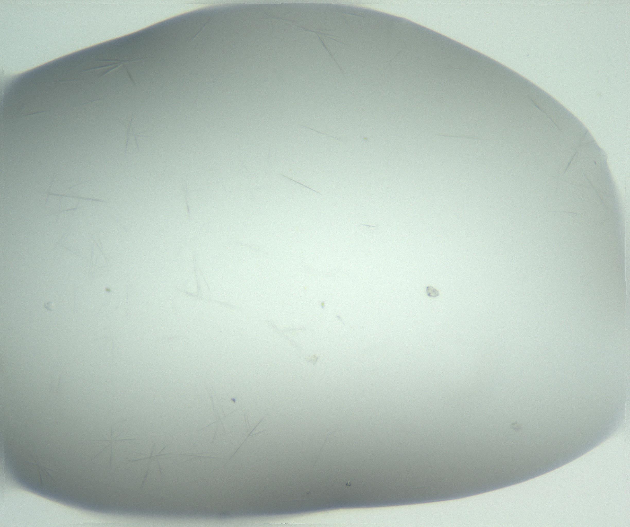 RI01_03_000_0212_Proj1_Clon1_MC_0000MC102940_002_161106_01_06_01_00_99_002_001_RAI.jpg