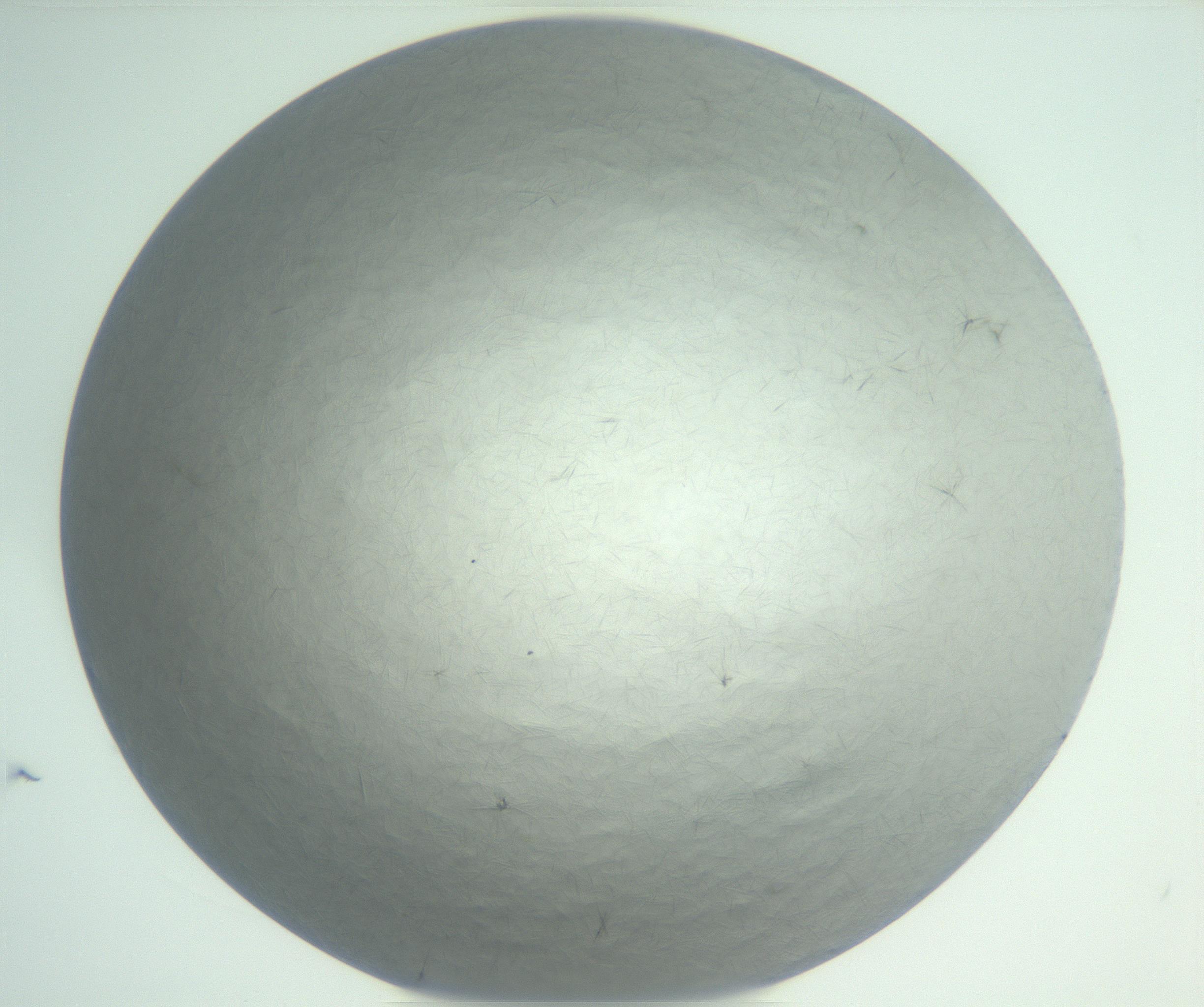 RI01_03_000_0212_Proj1_Clon1_MC_0000MC102940_002_161106_01_08_01_00_99_002_001_RAI.jpg
