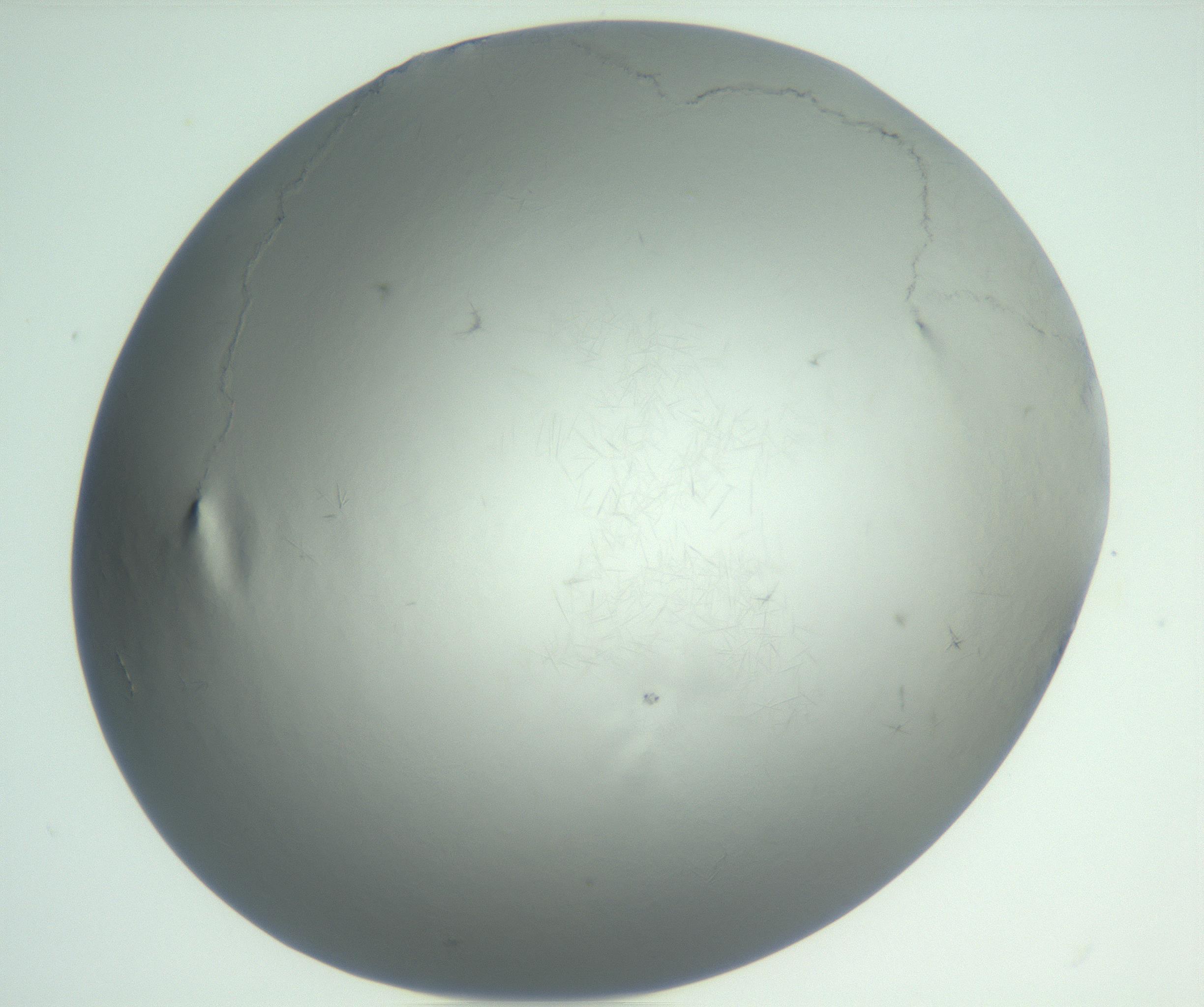 RI01_03_000_0212_Proj1_Clon1_MC_0000MC102940_002_161106_02_06_01_00_99_002_001_RAI.jpg