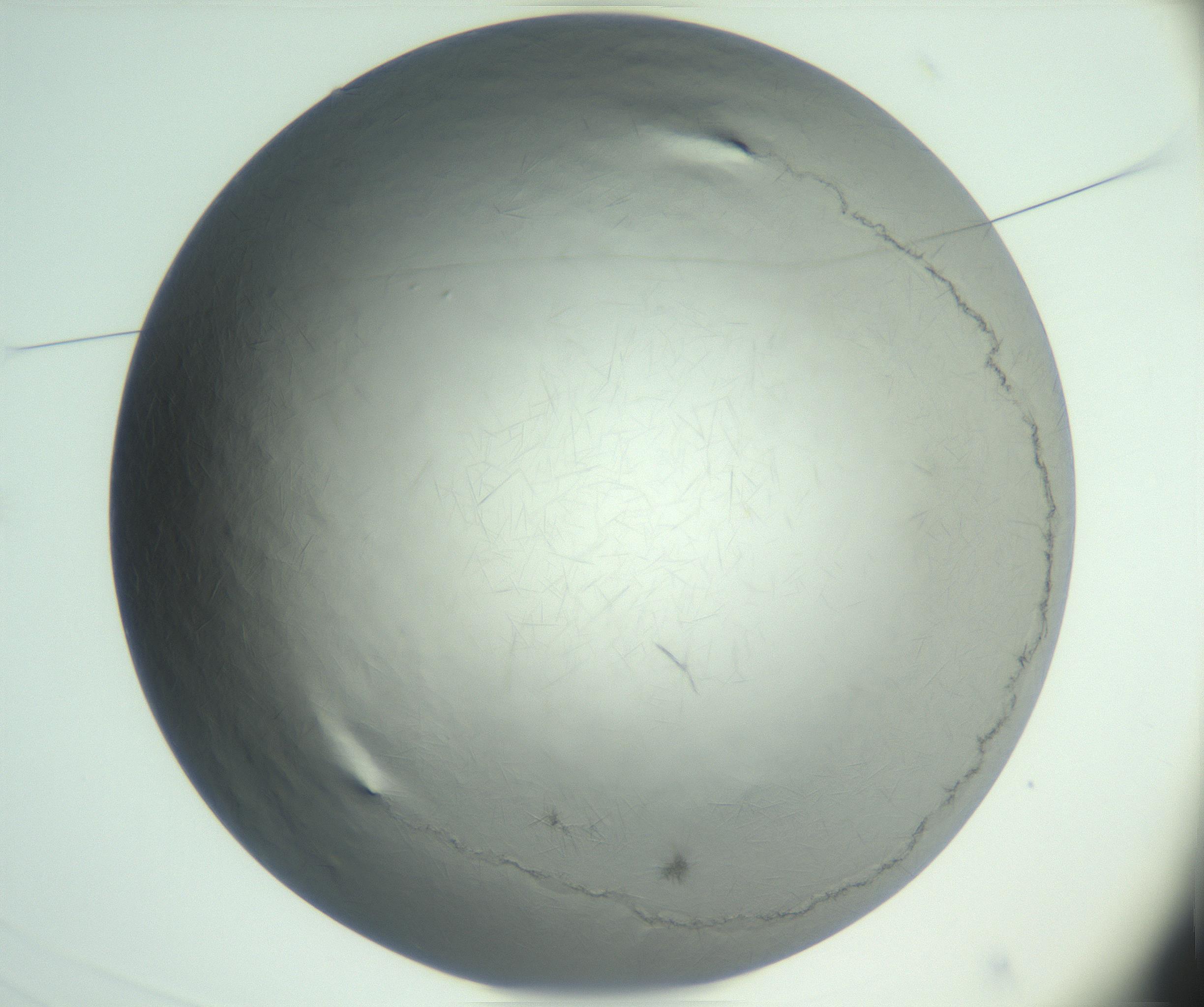 RI01_03_000_0212_Proj1_Clon1_MC_0000MC102940_002_161106_03_01_01_00_99_002_001_RAI.jpg