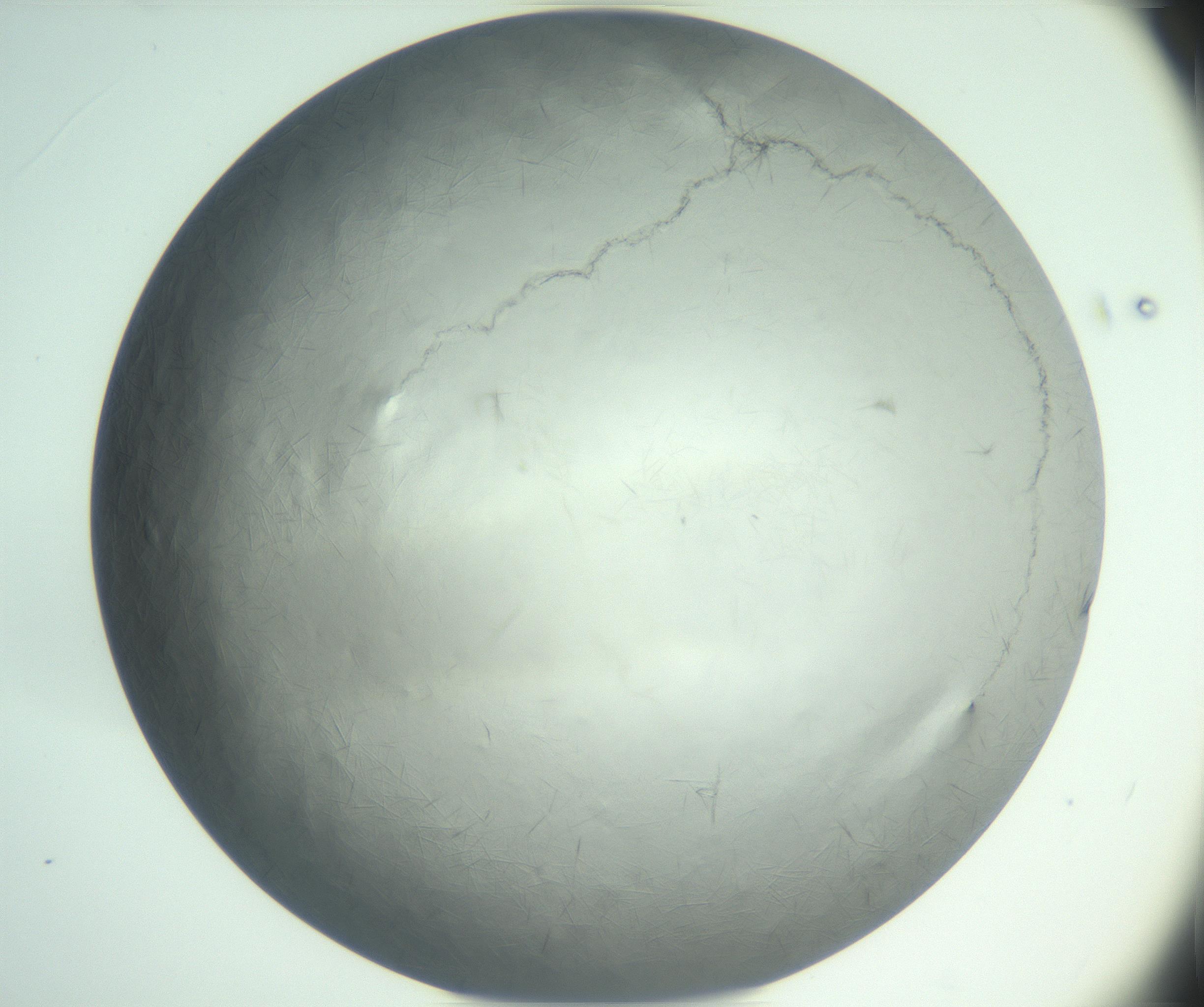 RI01_03_000_0212_Proj1_Clon1_MC_0000MC102940_002_161106_03_01_02_00_99_002_001_RAI.jpg