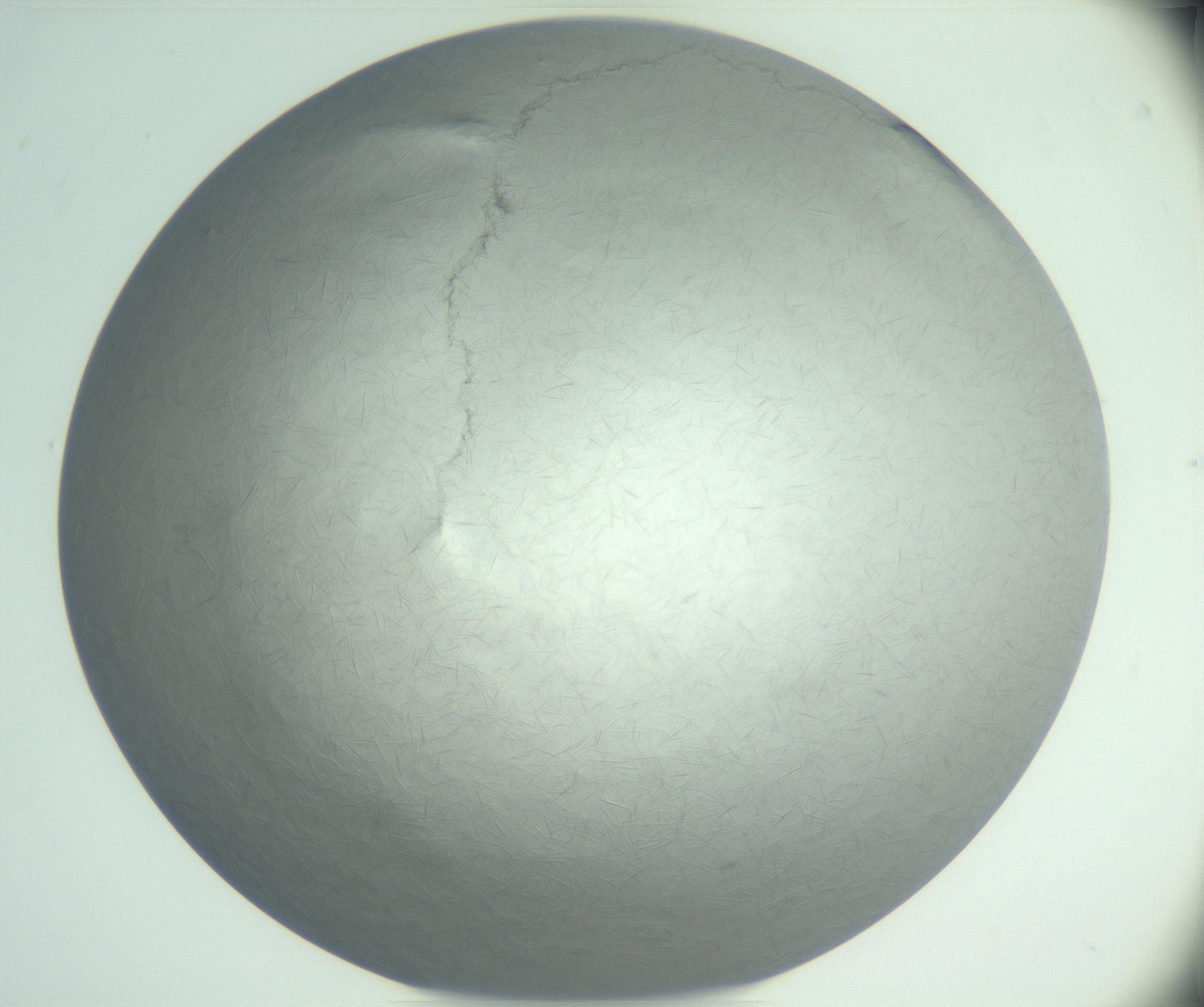 RI01_03_000_0212_Proj1_Clon1_MC_0000MC102940_002_161106_03_02_02_00_99_002_001_RAI.jpg