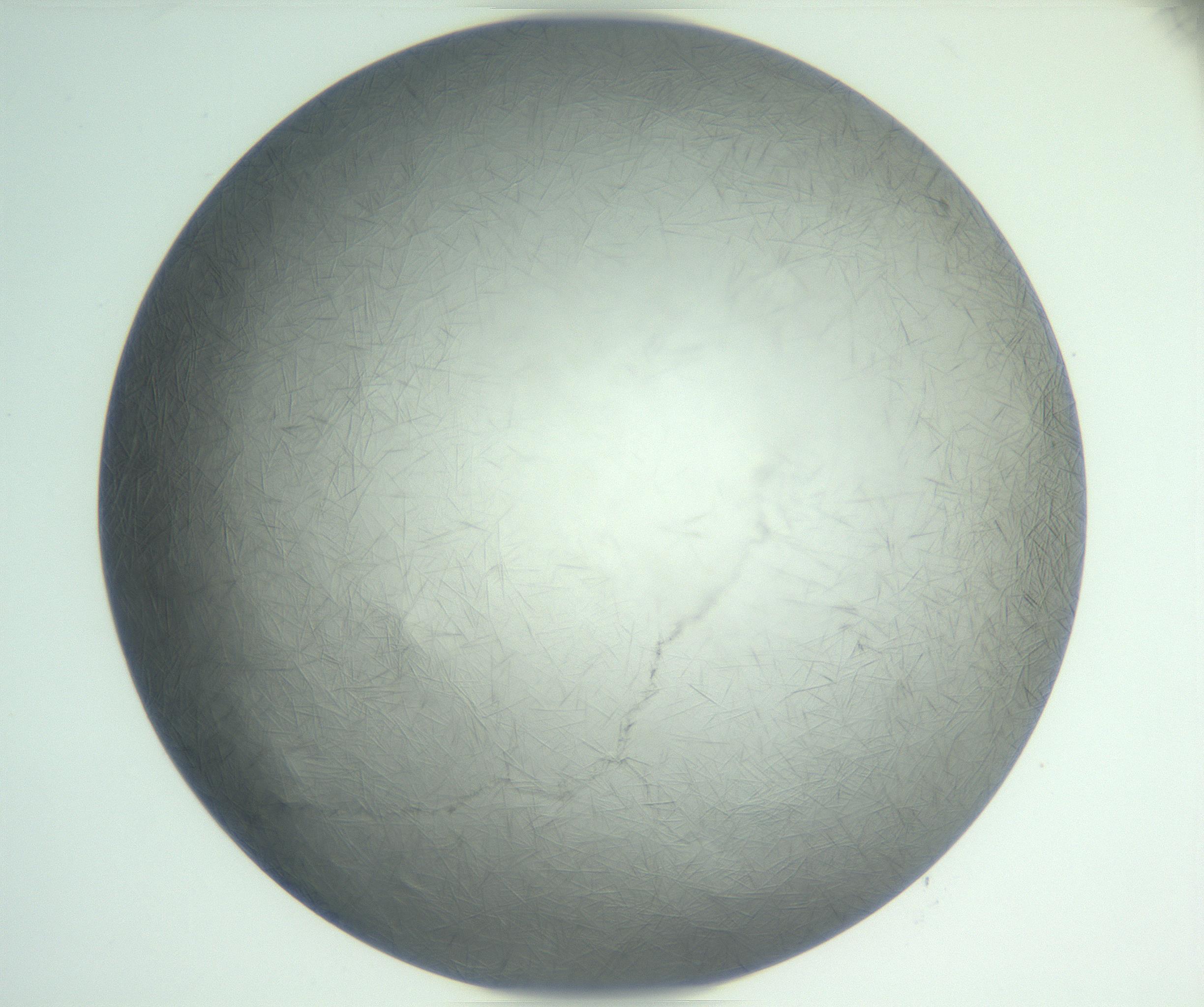 RI01_03_000_0212_Proj1_Clon1_MC_0000MC102940_002_161106_03_04_01_00_99_002_001_RAI.jpg