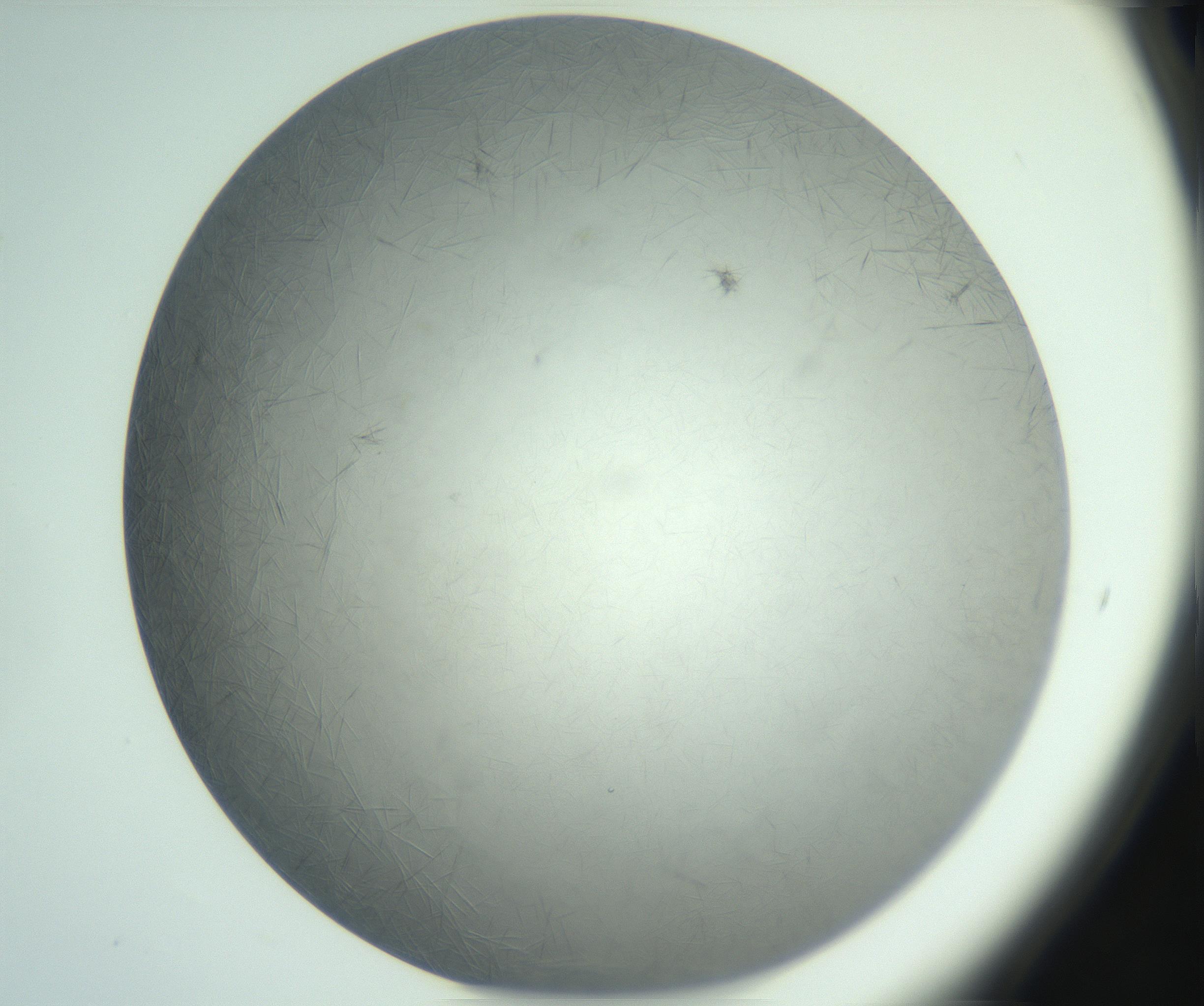 RI01_03_000_0212_Proj1_Clon1_MC_0000MC102940_002_161106_03_04_02_00_99_002_001_RAI.jpg