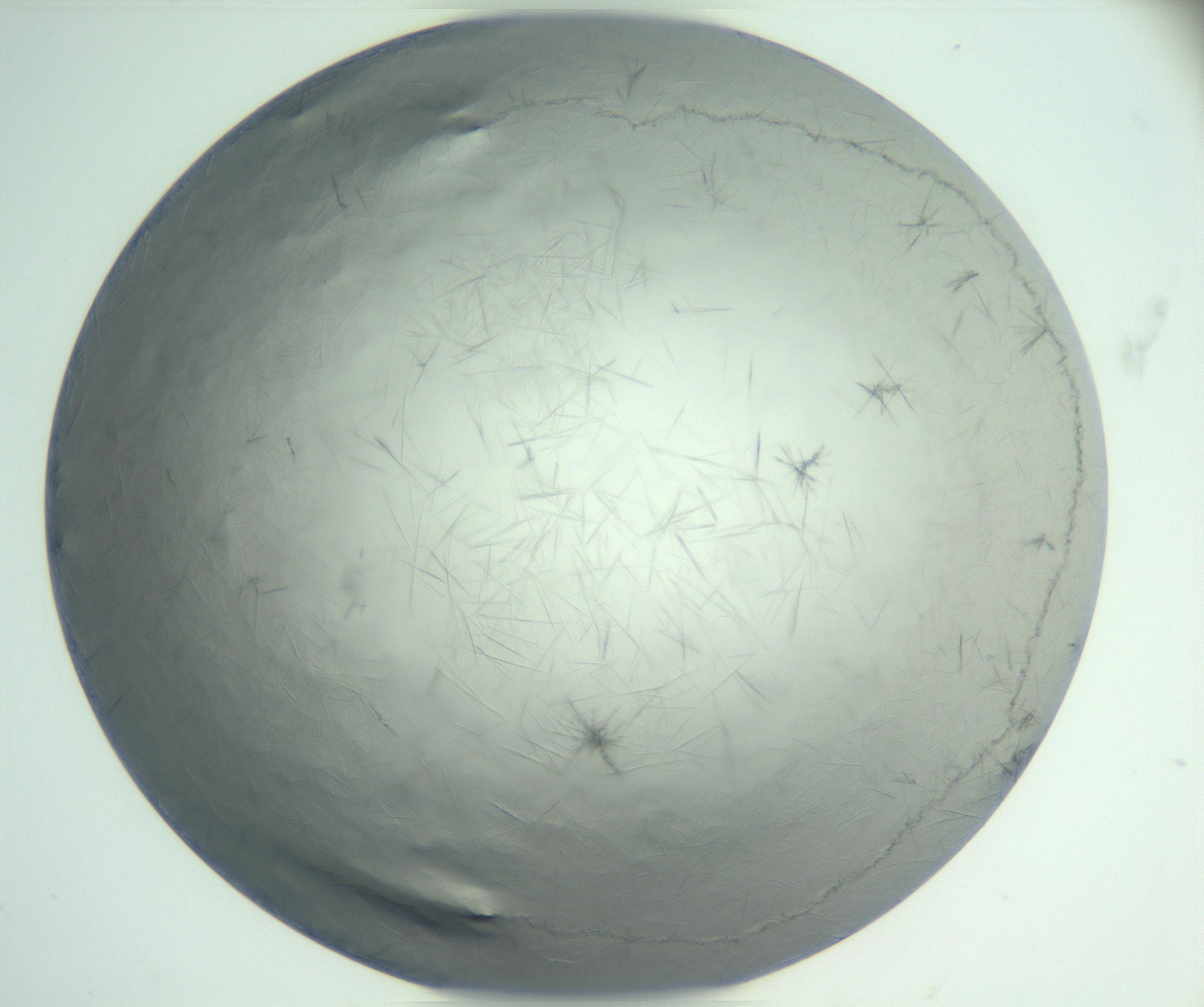 RI01_03_000_0212_Proj1_Clon1_MC_0000MC102940_002_161106_04_07_01_00_99_002_001_RAI.jpg