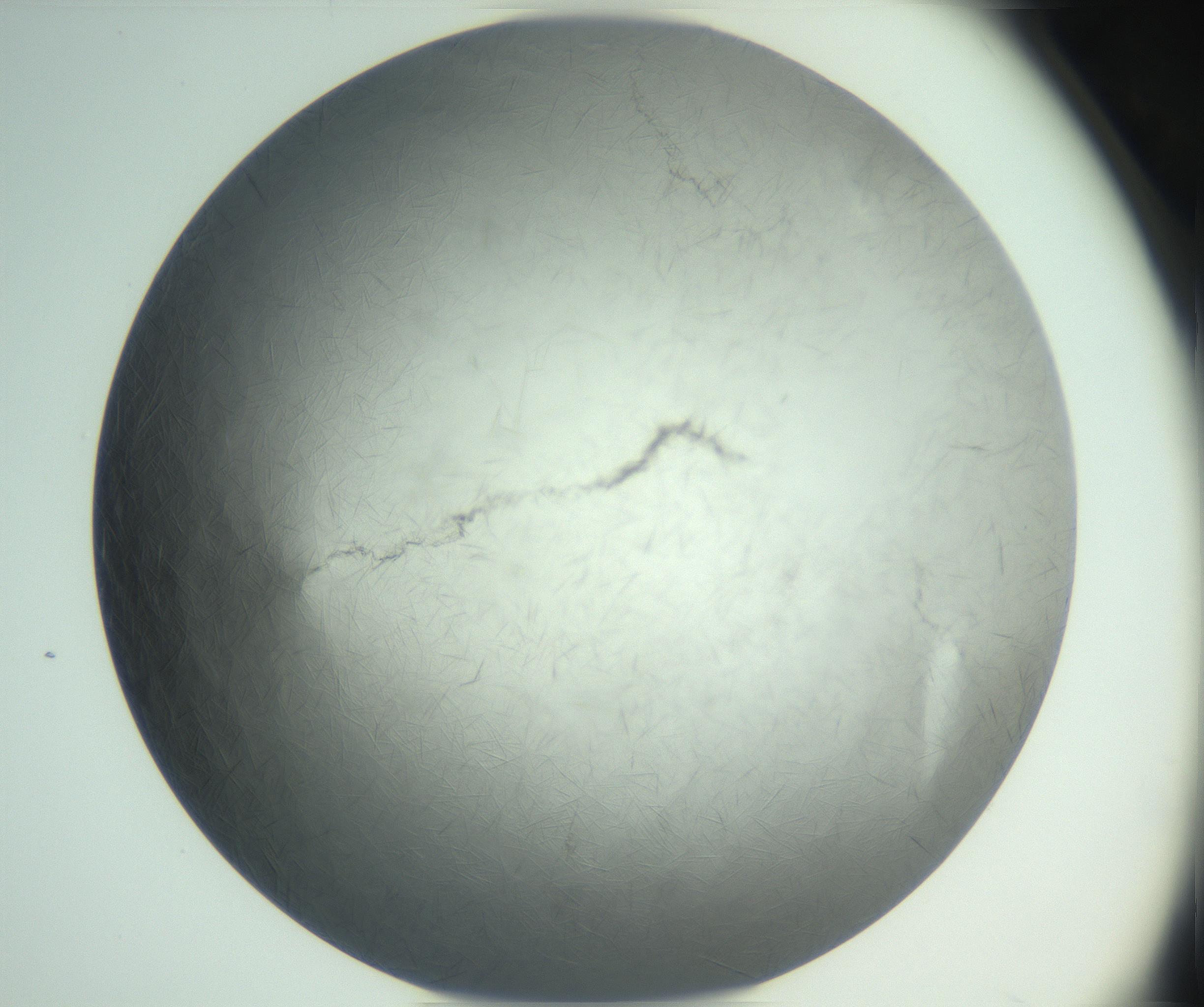 RI01_03_000_0212_Proj1_Clon1_MC_0000MC102940_002_161106_04_07_02_00_99_002_001_RAI.jpg