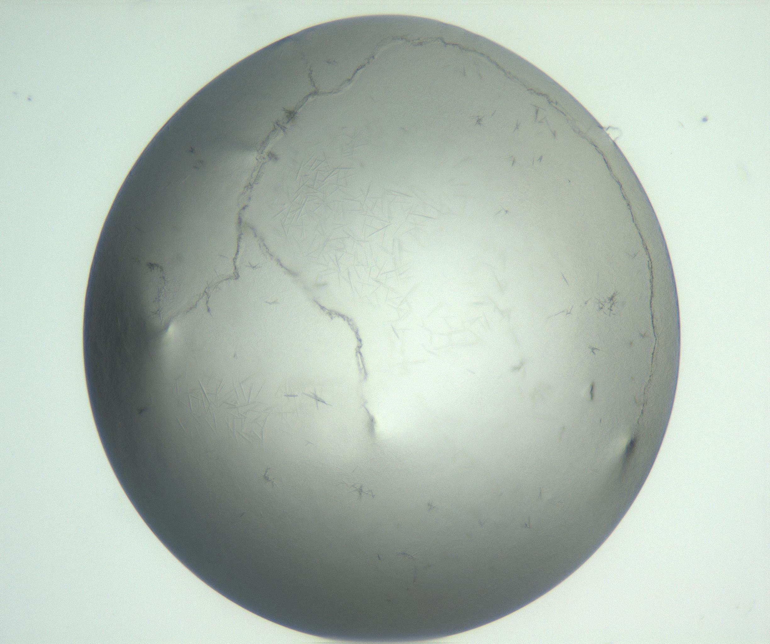 RI01_03_000_0212_Proj1_Clon1_MC_0000MC102940_002_161106_08_01_01_00_99_002_001_RAI.jpg