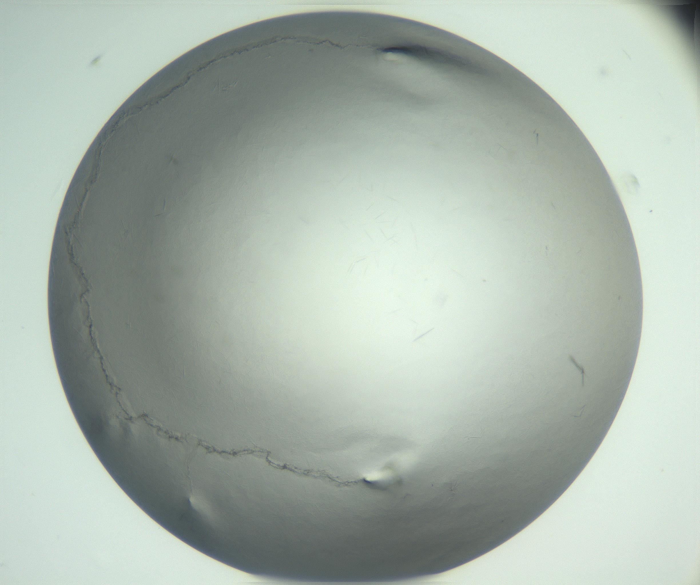 RI01_03_000_0212_Proj1_Clon1_MC_0000MC102940_002_161106_08_01_02_00_99_002_001_RAI.jpg
