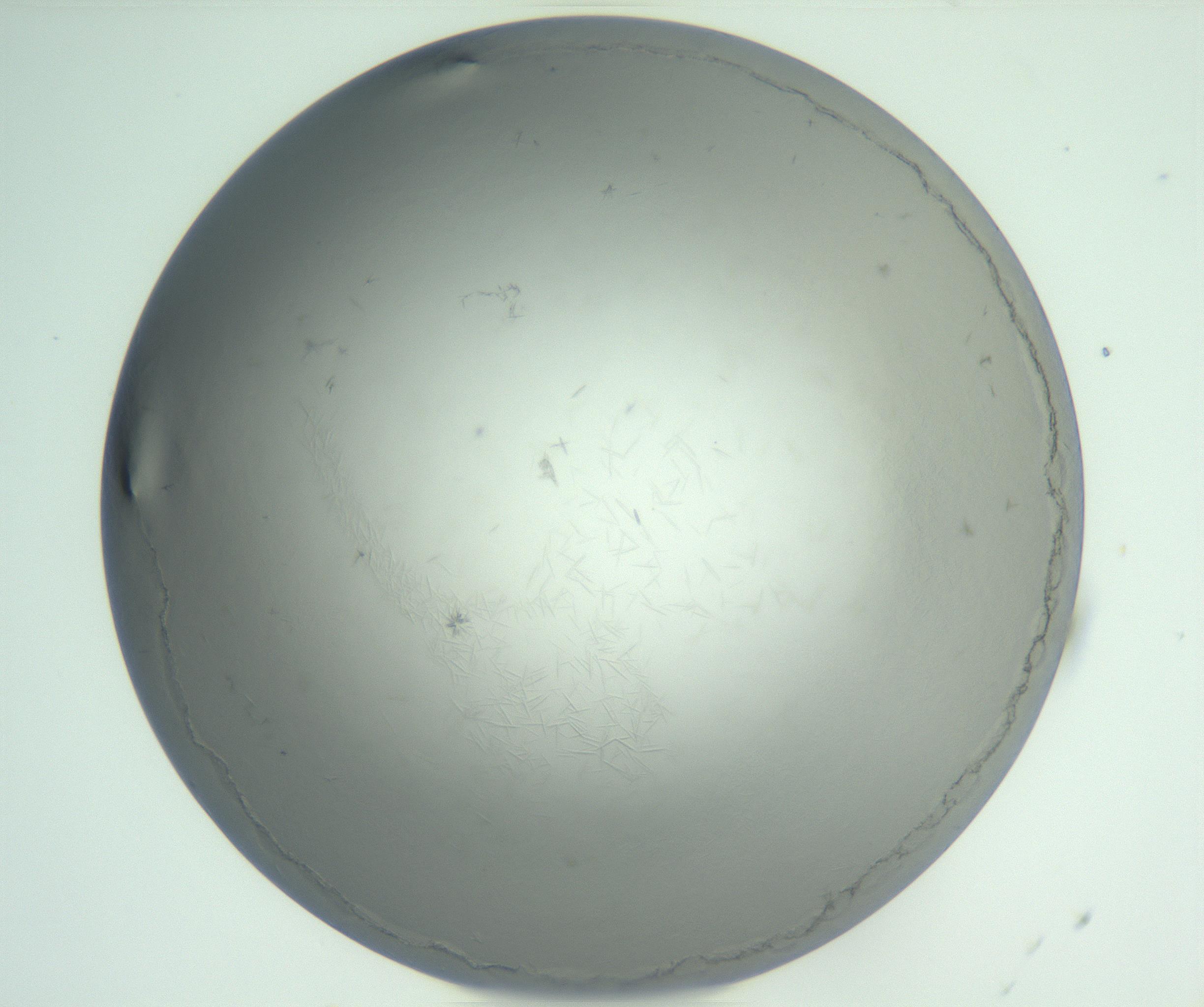 RI01_03_000_0212_Proj1_Clon1_MC_0000MC102940_002_161106_08_03_01_00_99_002_001_RAI.jpg